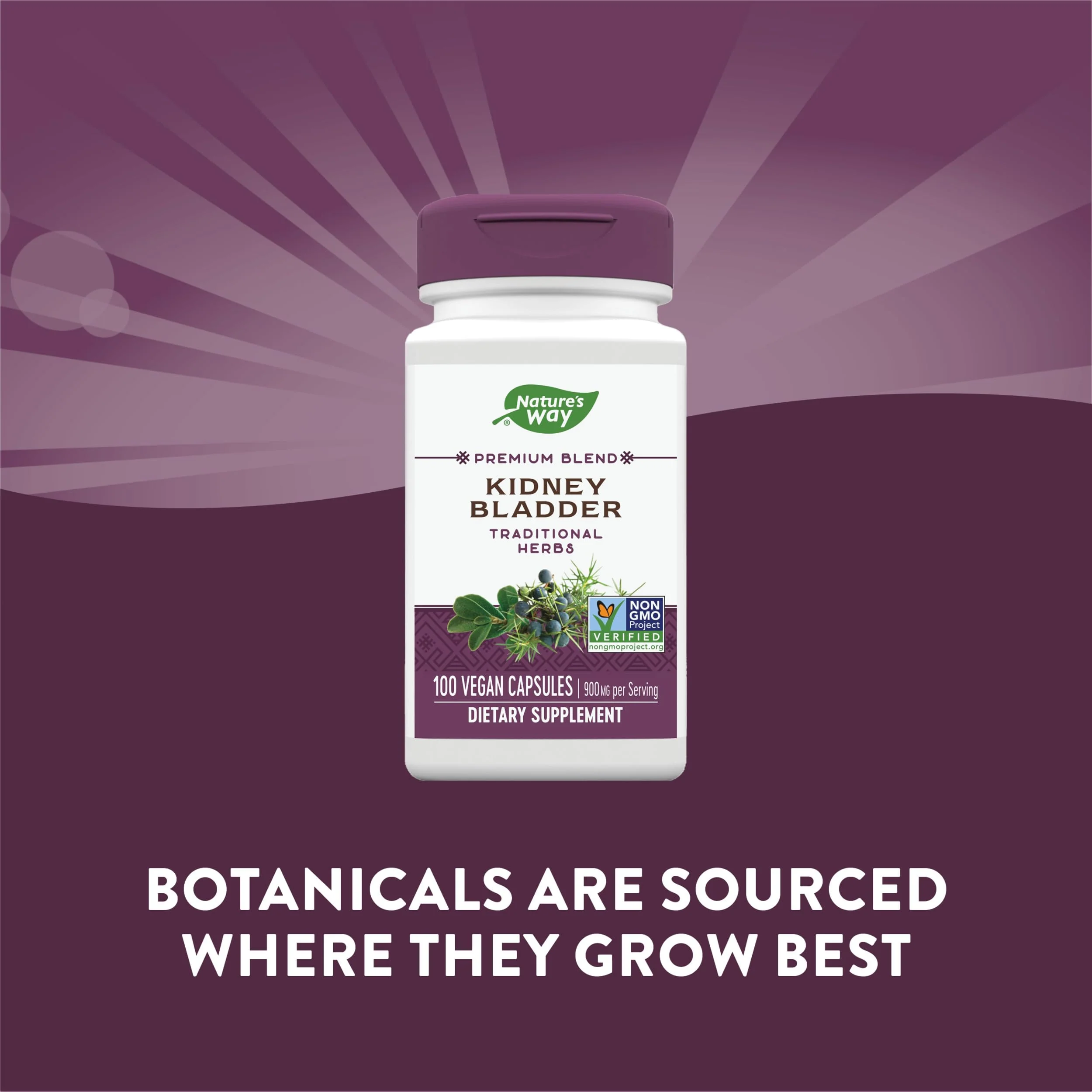 Nature's Way Kidney Bladder, Traditional Herbs Supplement, 900mg Per Serving, 100 Vegan Capsules (Pack of 2) - Image 11