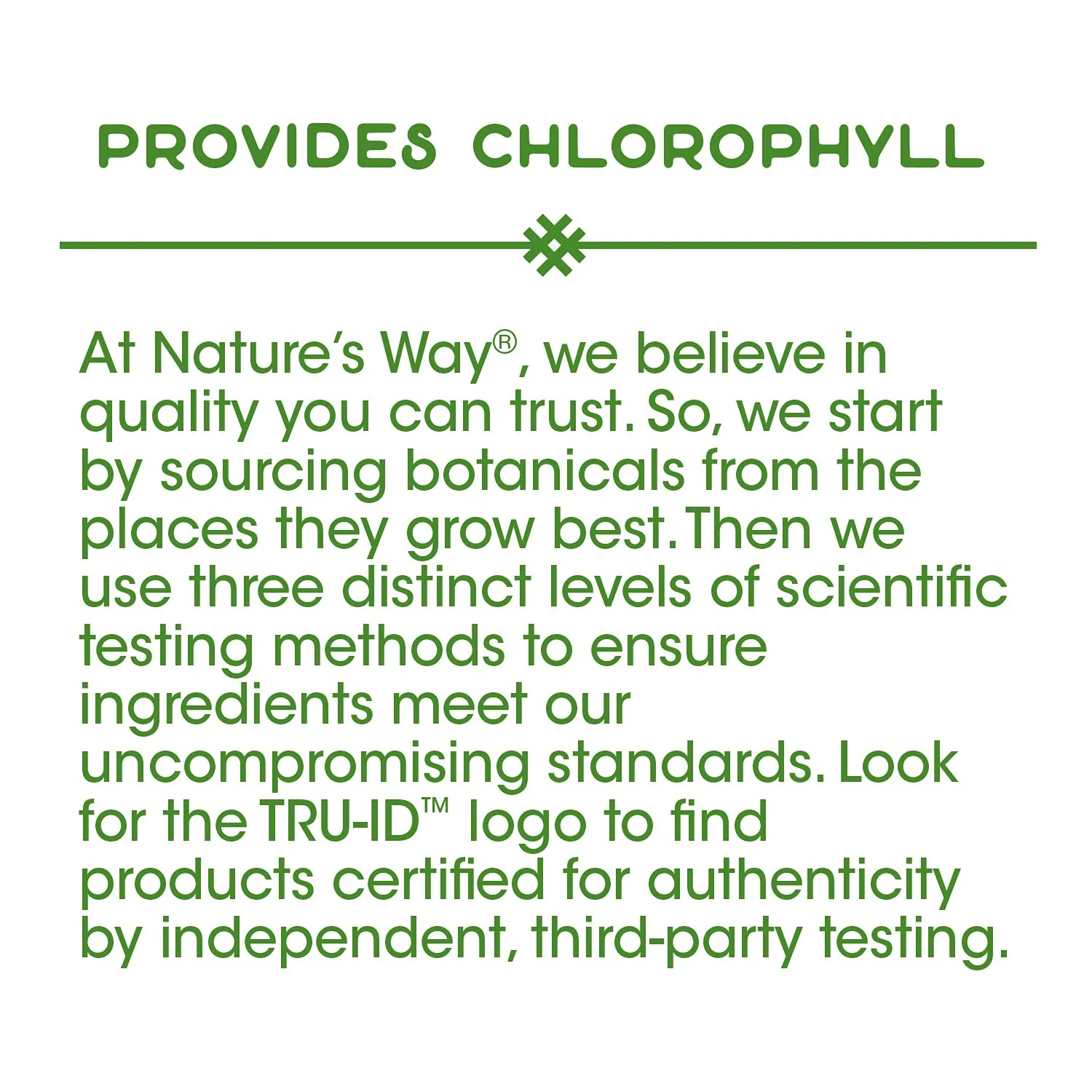 Nature's Way Premium Herbal Parsley Leaf Provides Chlorophyll, 100 Vegan Capsules (Pack of 2) - Image 6