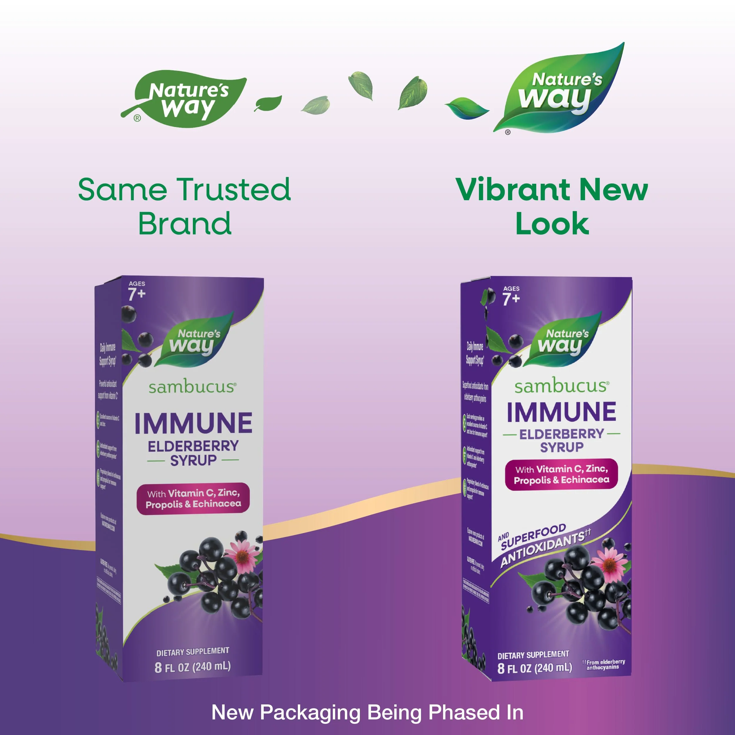 Nature's Way Sambucus Immune Elderberry Syrup, Elderberry extract, Vitamin C and Zinc with Propolis & Echinacea for Immune Support*, with Superfood Antioxidants(1), 8 Fl Oz (Packaging May Vary) - Image 7