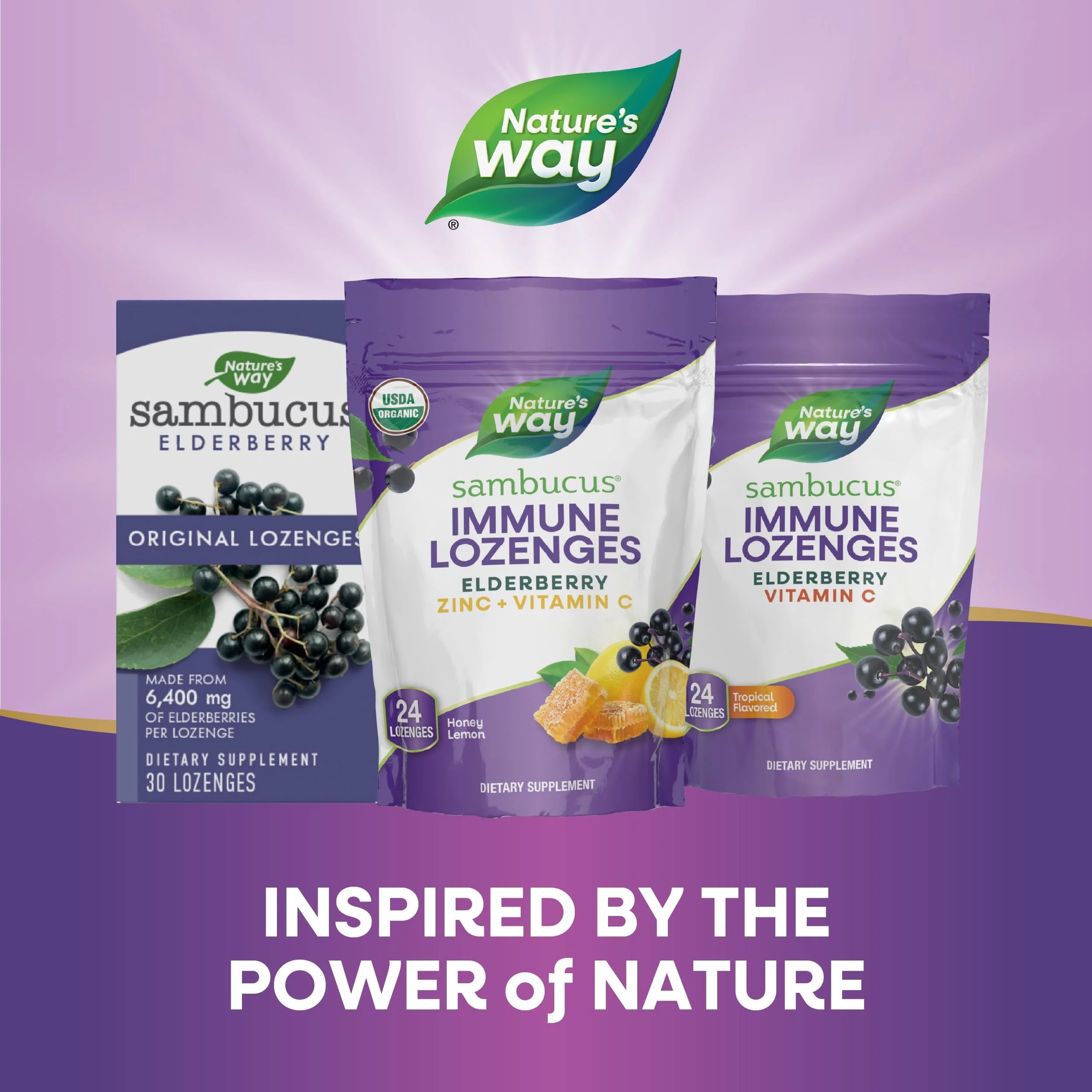 Nature's Way Sambucus Immune Lozenges, Zinc, Vitamin C, Elderberry, Immune Support*, USDA Organic, Honey Lemon Flavor, 24 Lozenges (Packaging May Vary) - 3 Pack - Image 3