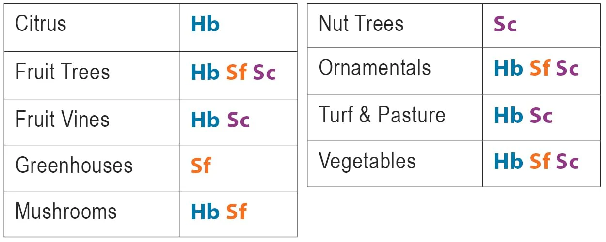 NaturesGoodGuys Beneficial Nematodes Triple Blend Pack HB+SC+SF (5 Million) - Image 7