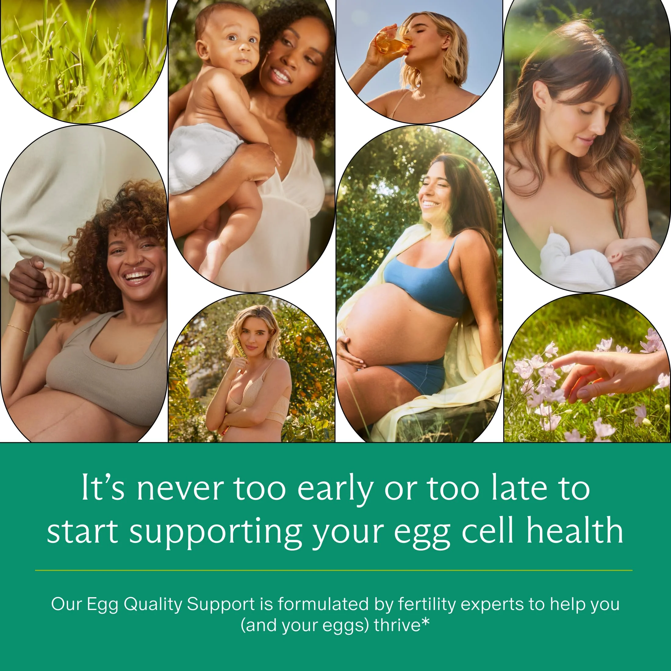 Needed. Egg Quality Support - Optimally Formulated Antioxidants Supplement for Egg Quality - Fertility Support - Fertility Supplement for Women - 60 Capsules - 30 Day Supply - Image 4