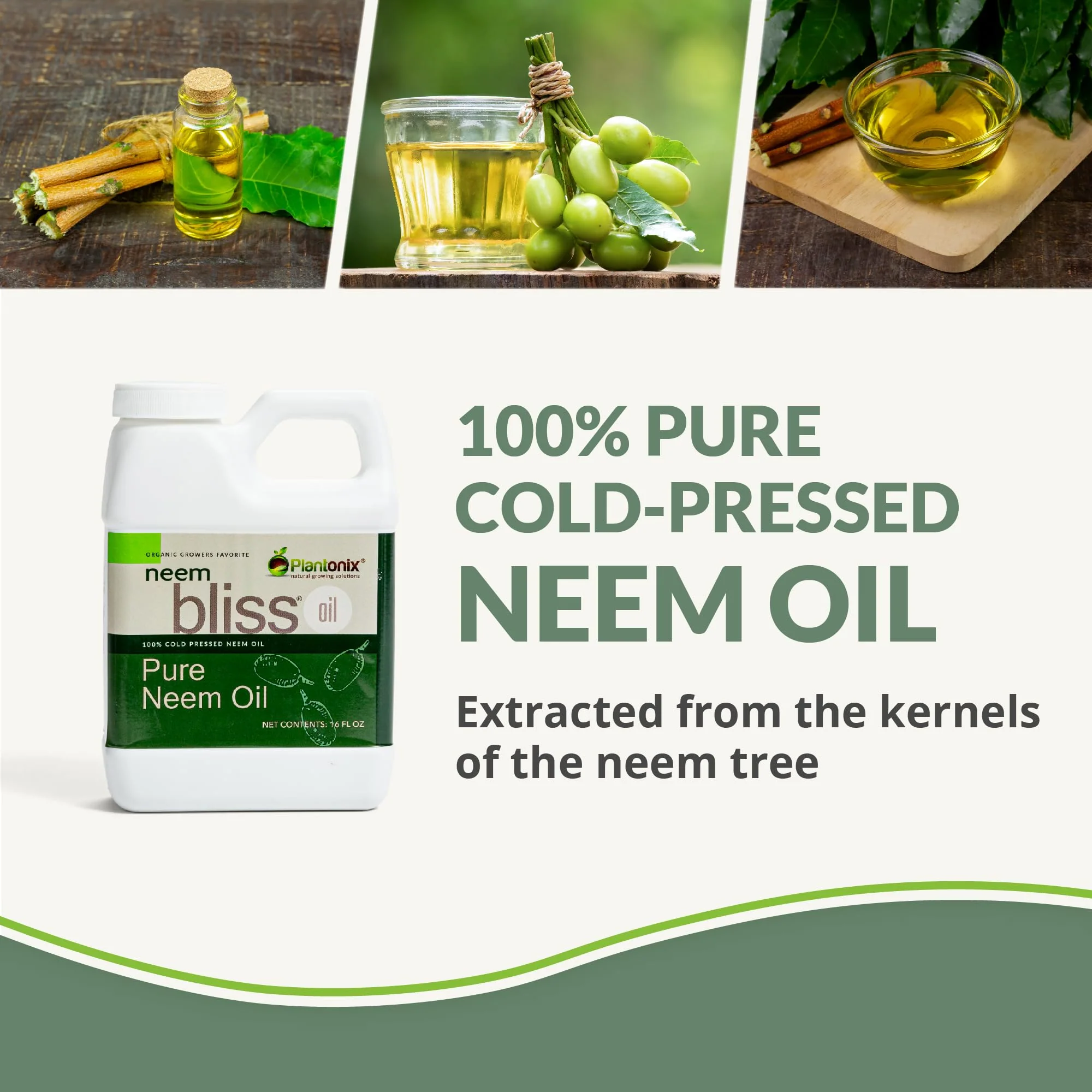 Neem Bliss (32 Fl Oz) - Pure Neem Oil Concentrate - 100% Cold Pressed Neem Oil - All-Natural Neem Oil Concentrate - Pure Neem Oil Extract - Unrefined Neem Oil for Hair - Neem Seed Oil Concentrate - Image 4