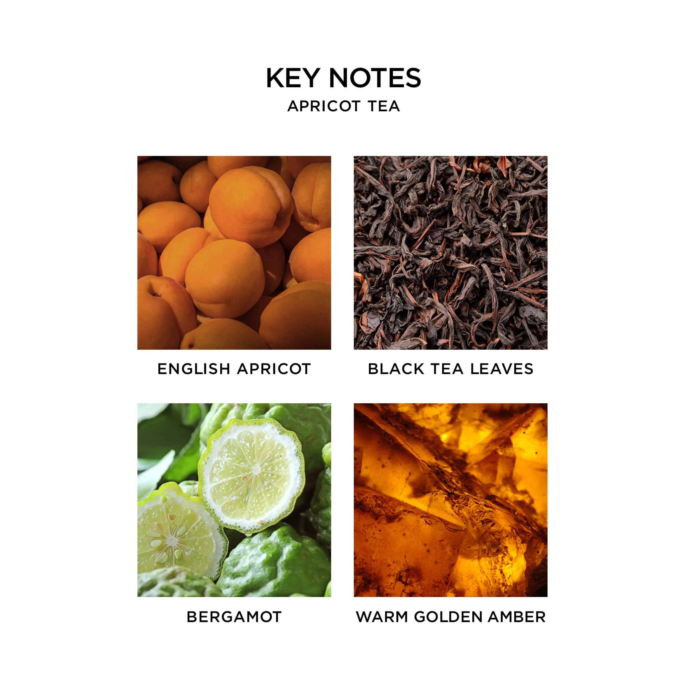 Nest Fragrances Scented Classic Candle, Apricot Tea - Image 4