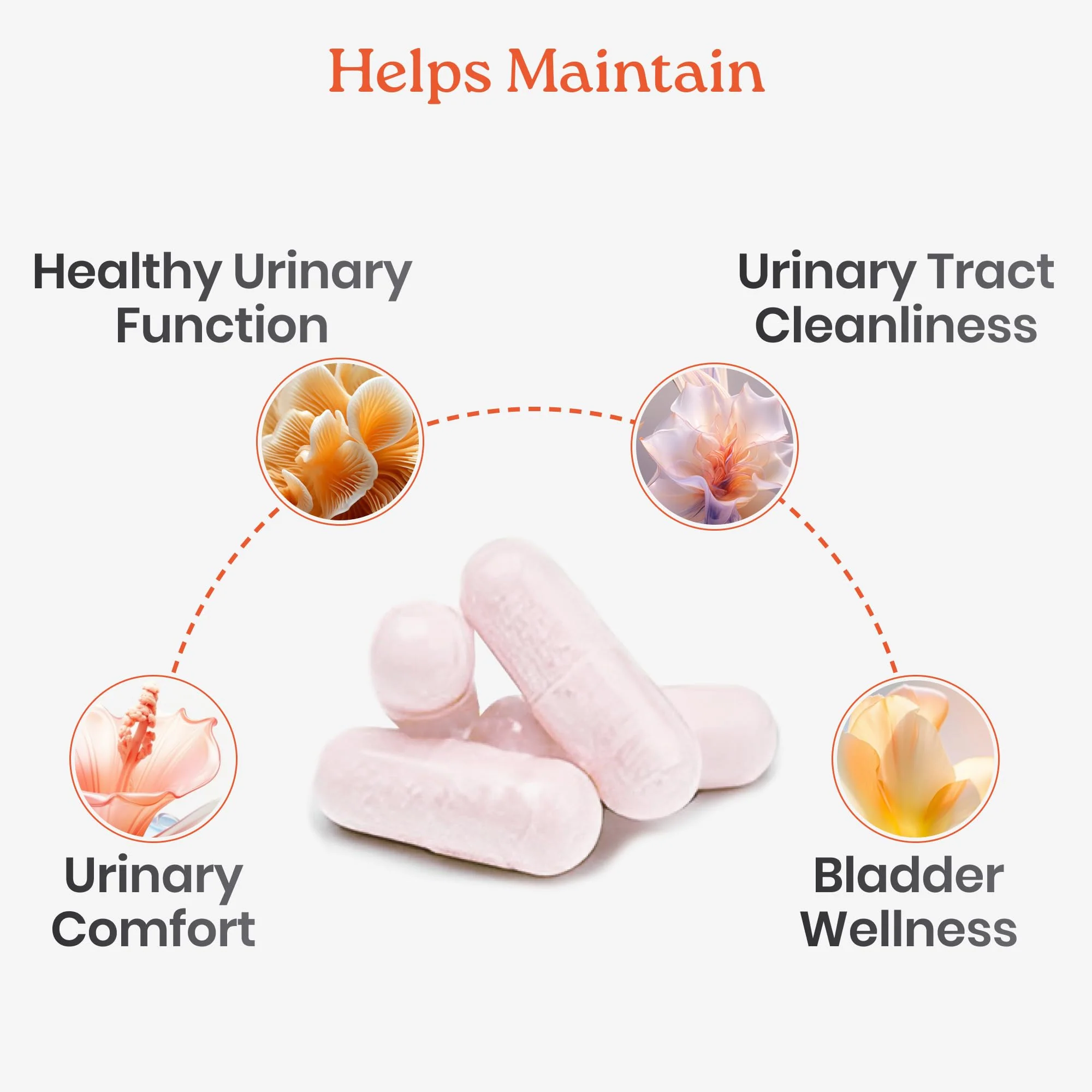NewLife Naturals D-Mannose Capsules | w/Cranberry and Hibiscus Extracts | Natural Urinary Tract Health Supplement | 1400mg Pure Veggie Powder | 120 Veggie Capsules - Image 6