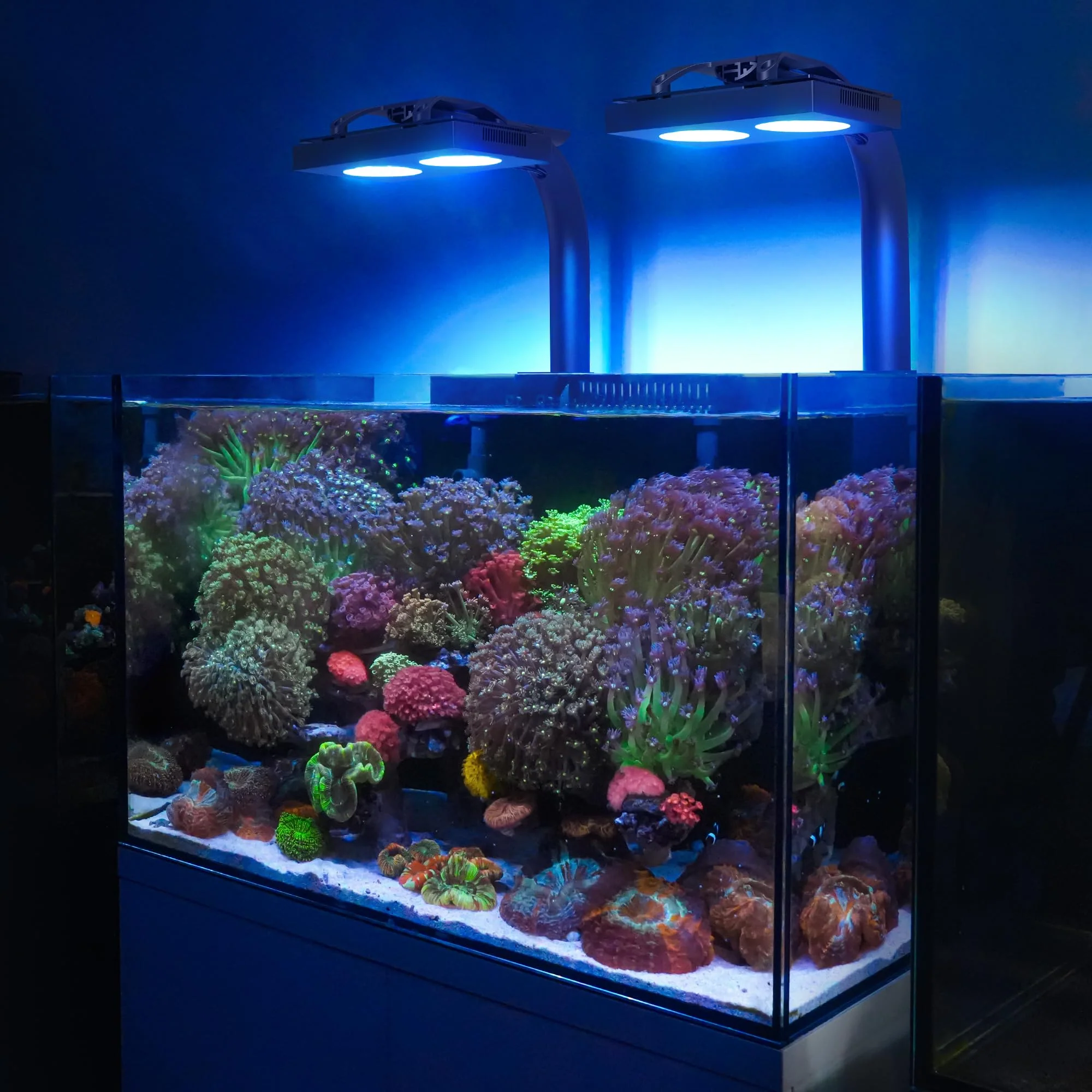 NICREW HyperReef 100 Gen 2 Reef LED Light, 100W Reef Aquarium Lighting for SPS LPS Corals and Saltwater Fish Tanks, Enhanced Violet and Blue Spectrum, Wide Angle Lens, 5 Channels Fully Programmable - Image 2