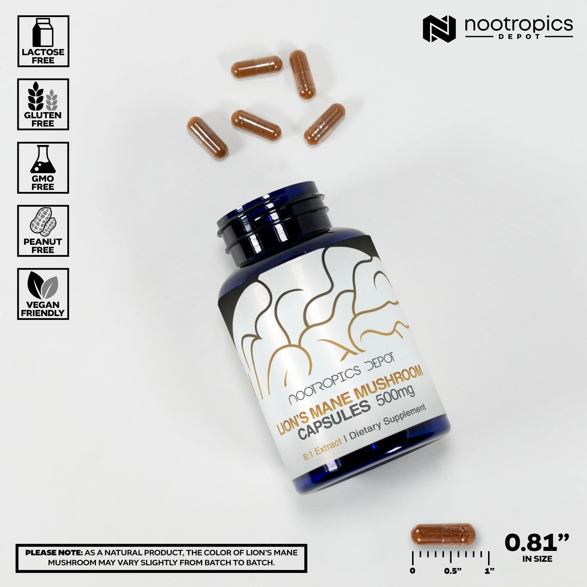 Nootropics Depot Lions Mane Mushroom Capsules | 8:1 Whole Fruiting Body Dual Extract | 500mg | 180 Count | Hericium erinaceus - Image 5
