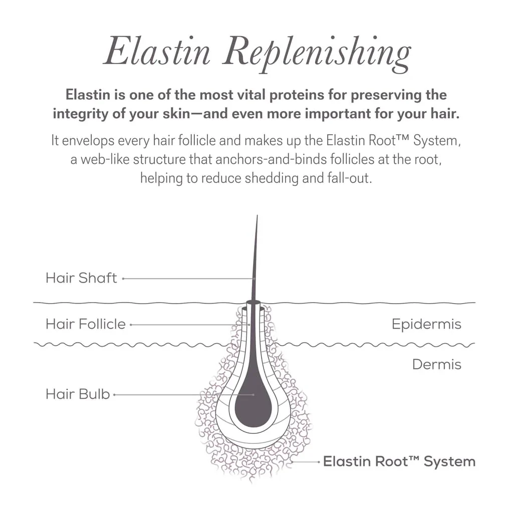 NULASTIN Shape Altering Eyebrow Serum - Brow Serum to Shape & Define - Improves the Appearance of Sparse Eyebrows for a Fuller Look - Enriched with Hair-Strengthening Ingredients (0.1 Fl Oz) - Image 4
