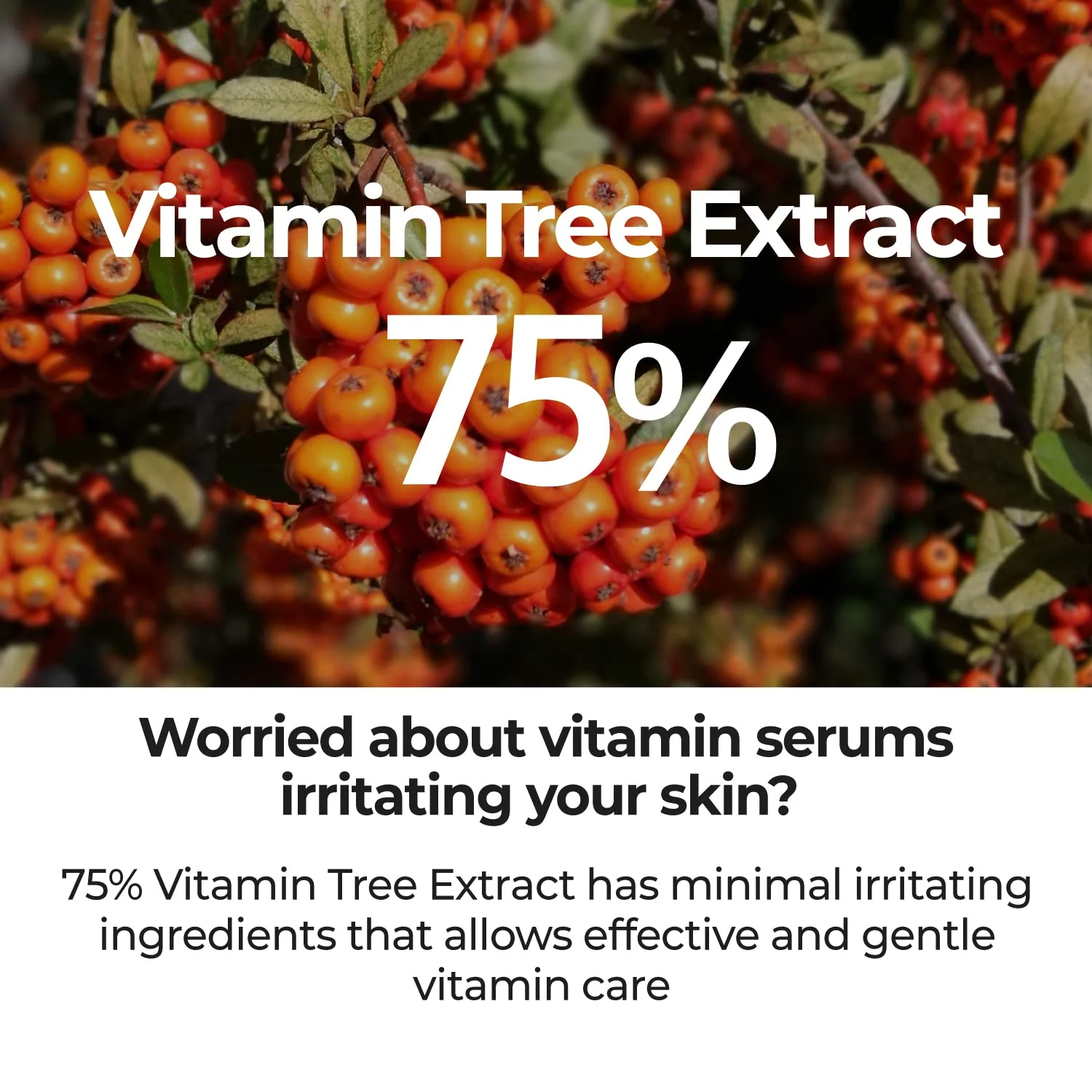 numbuzin No.5 Serum | Goodbye Blemish Serum | for Acne Scars with Vitamin C, Niacinamide, Antioxidant | Lightweight Gel, Korean Skincare for Face | 1.69 fl. oz. - Image 4