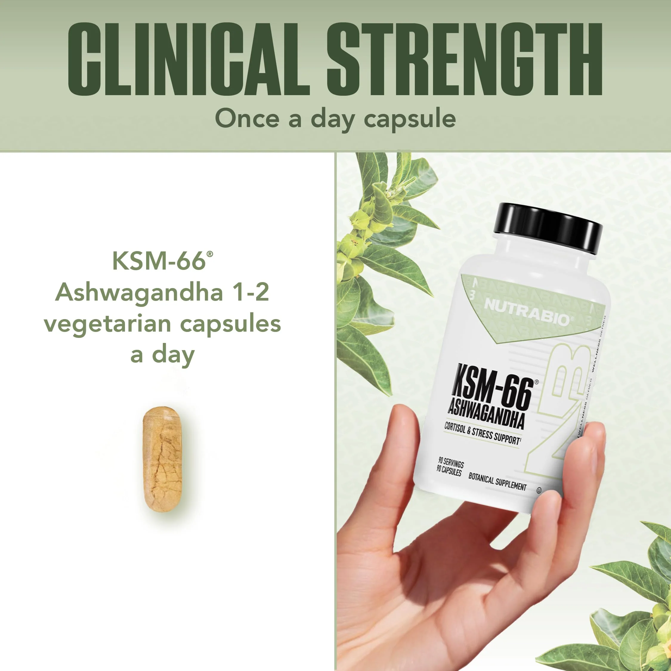 NutraBio Ashwagandha KSM-66 | Ashwaganda Herbal Supplement for Stress, Mood, & Performance | 600 MG of Clinically Studied KSM66 90 Capsules - Image 5