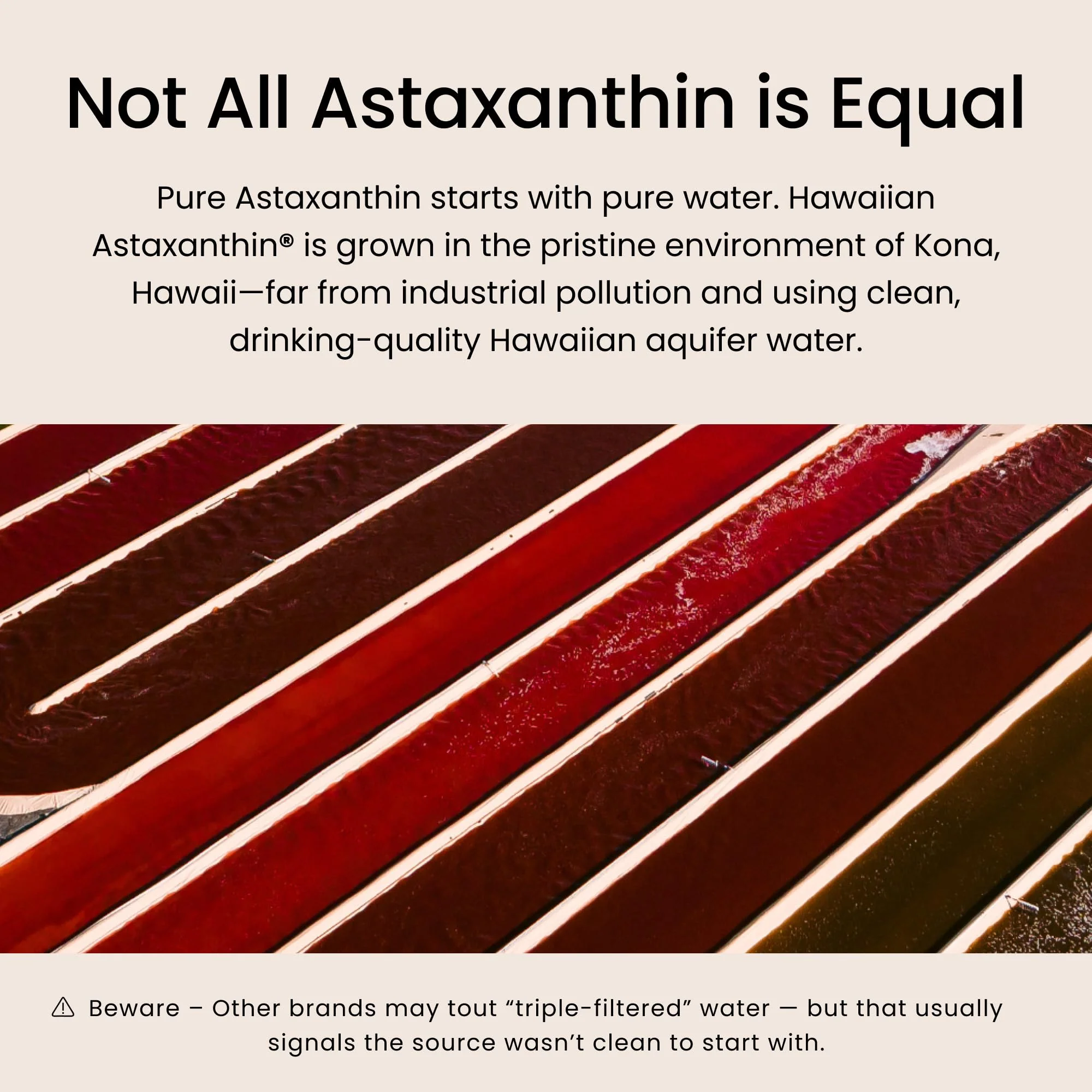 Nutrex Hawaii BioAstin Hawaiian Astaxanthin - Vegan - 12mg High Potency, 60 Citrus Gummies - Antioxidant Support for Skin & Immune Health - Premium Microalgae Grown in Kona - Non-GMO & Gluten-Free - Image 5