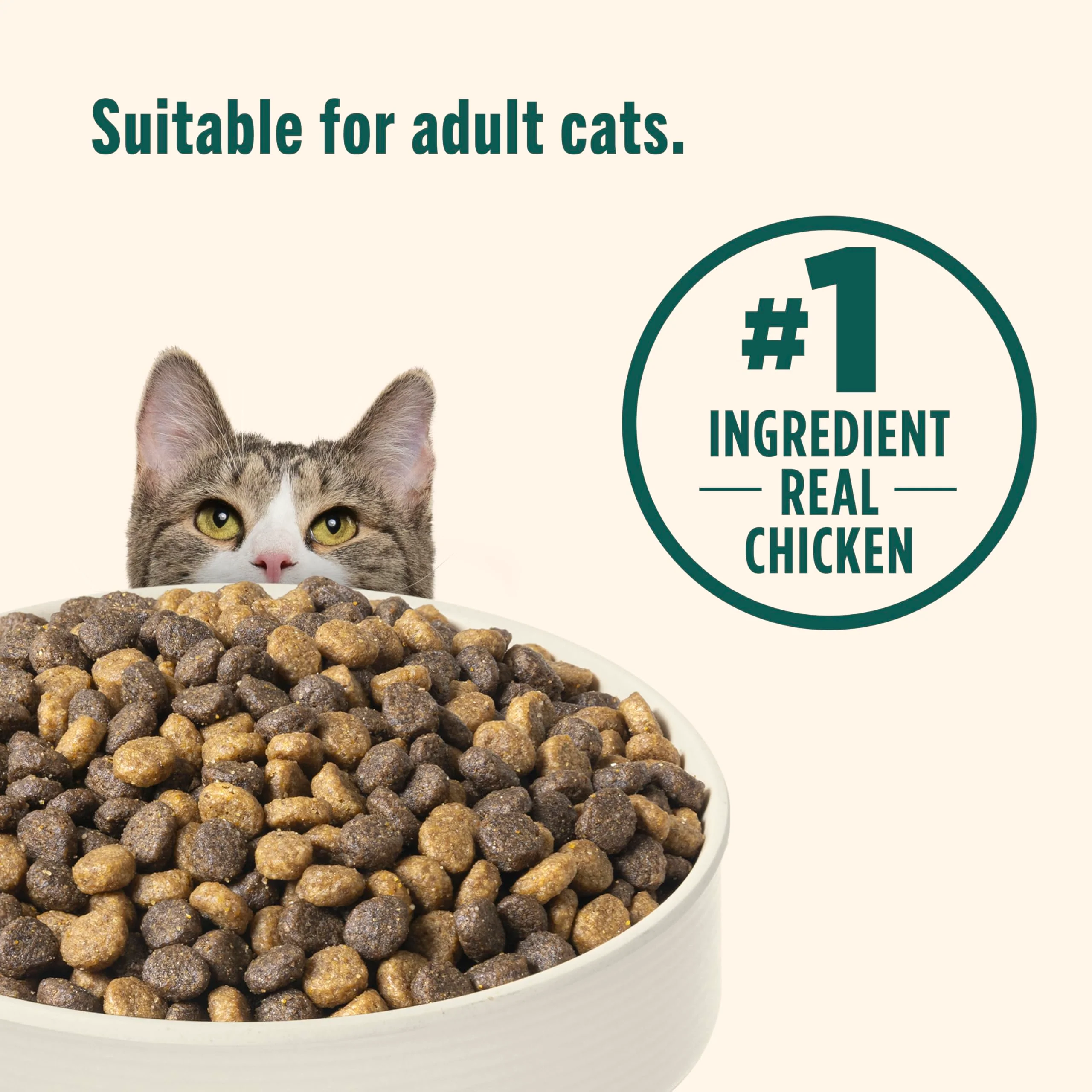 Nutrish Indoor Complete Chicken, Lentils & Salmon Recipe Dry Cat Food 14 lb. Bag, Packaging May Vary (Rachael Ray) - Image 7