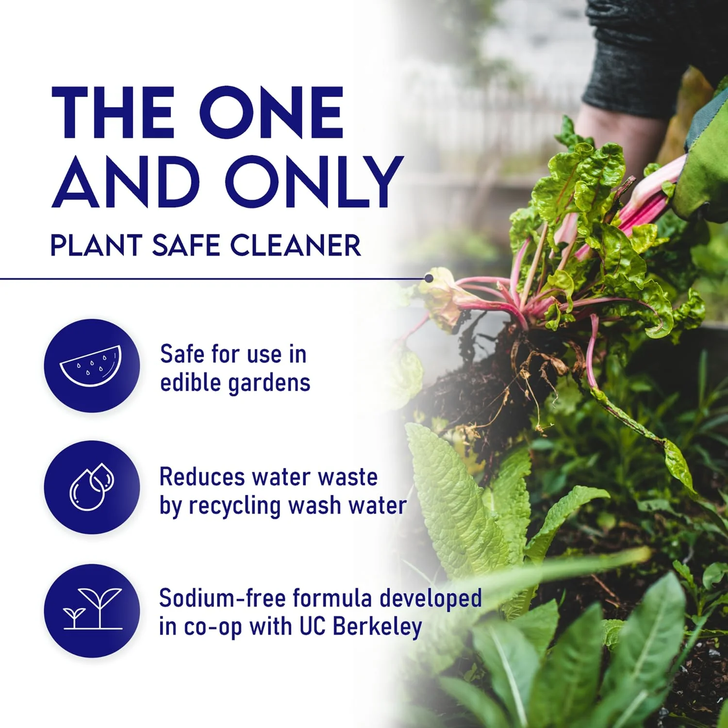 Oasis Biocompatible Dish Soap Liquid & All Purpose Cleaner - Reuse Greywater for Plants - Clean, Safe, Concentrated, Grey Water Friendly, Sodium-Free, Biodegrades Into Plant Nutrients - 1 Gallon - Image 5