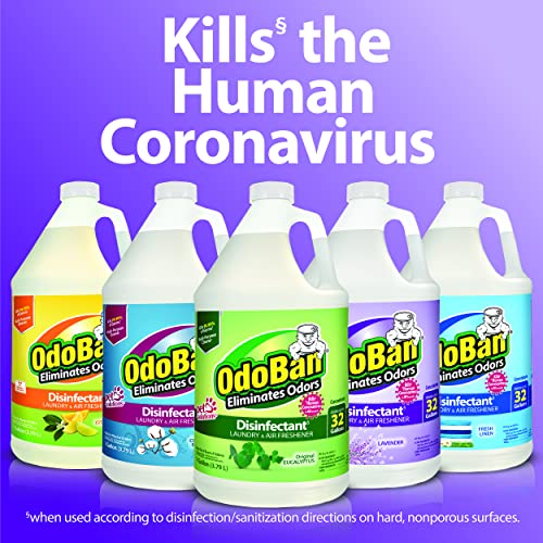 OdoBan Disinfectant Concentrate and Odor Eliminator, 2 Gallons, Original Eucalyptus Scent - Image 2