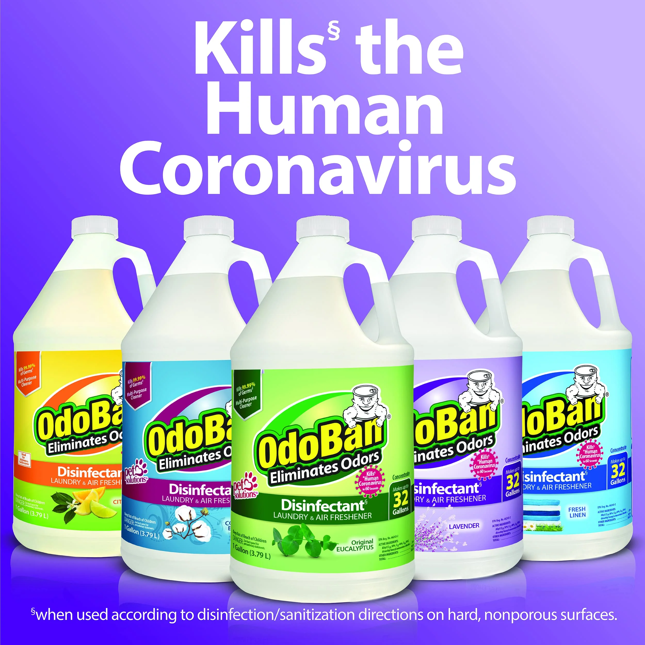 OdoBan Disinfectant Concentrate and Odor Eliminator, Made in the USA, Cotton Breeze Scent, 2 Gallons - Image 2