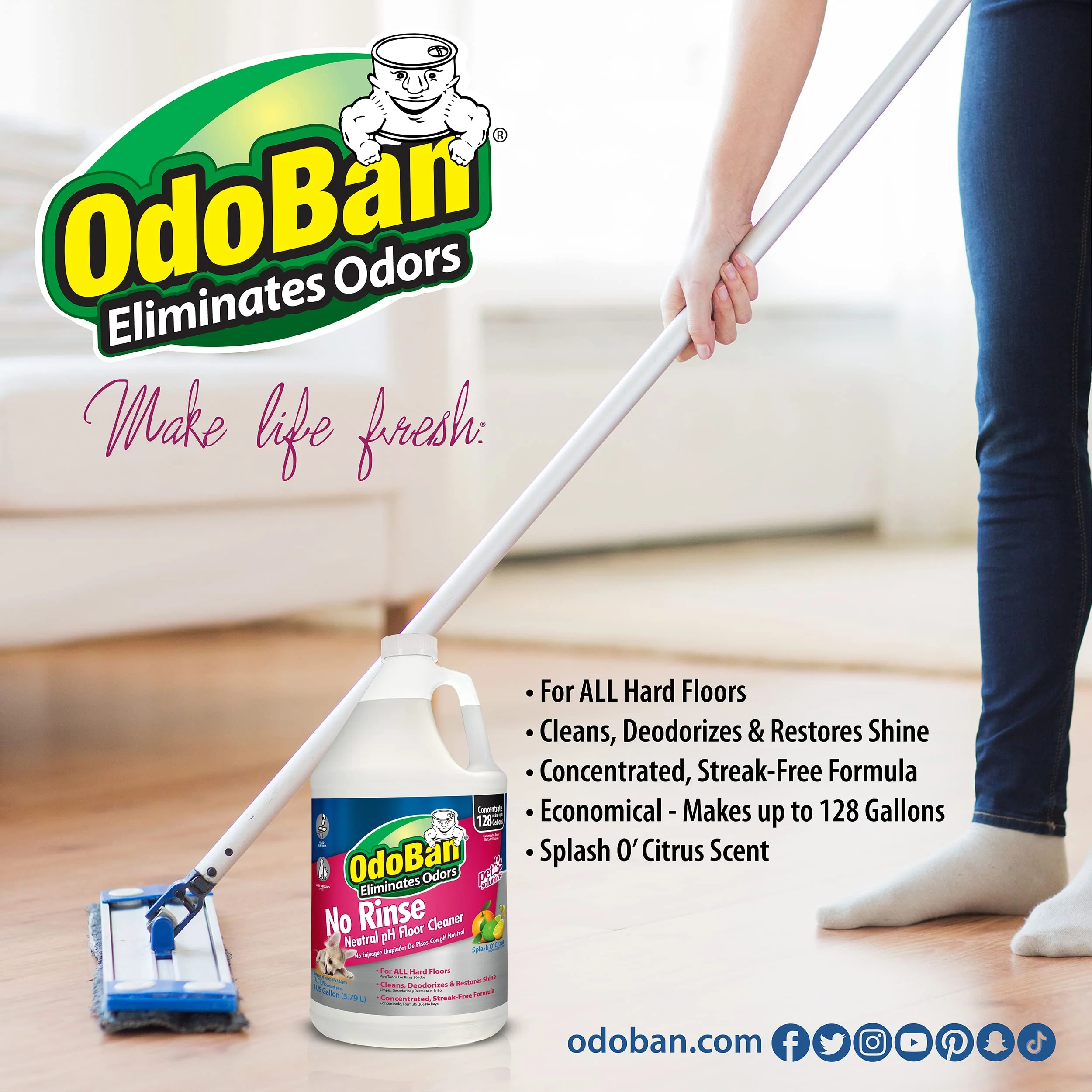 OdoBan Pet Solutions No Rinse Neutral pH Floor Cleaner Concentrate, Made in the USA, 1 Gallon, and Oxy Stain Remover, 32 Ounce Spray - Image 6