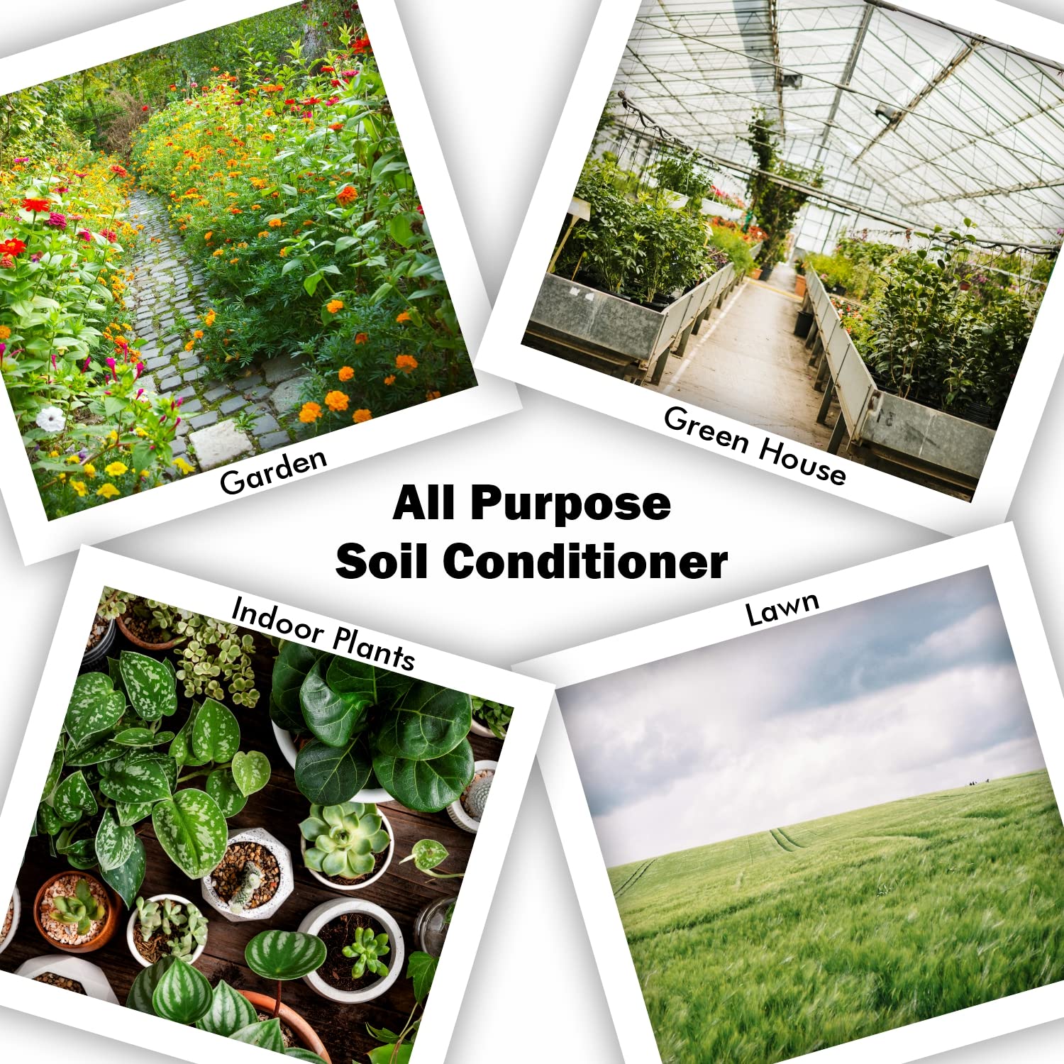 Old Potters Organic Compost - Plant Based Potting Soil - Home, Garden Fertilizer - Complete Food - Boosts Plant Growth - Use for Indoor and Outdoor Farming ~25 lbs (24 Quarts) - Image 2