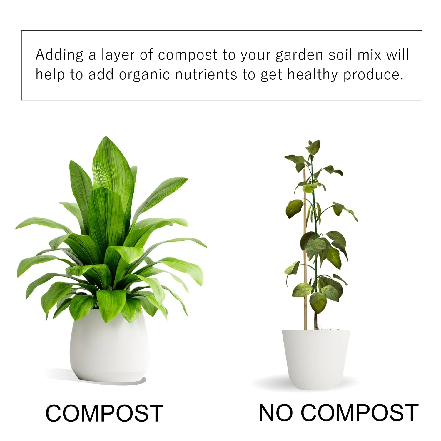 Old Potters Organic Compost - Plant Based Potting Soil - Home, Garden Fertilizer - Complete Food - Boosts Plant Growth - Use for Indoor and Outdoor Farming ~25 lbs (24 Quarts) - Image 5