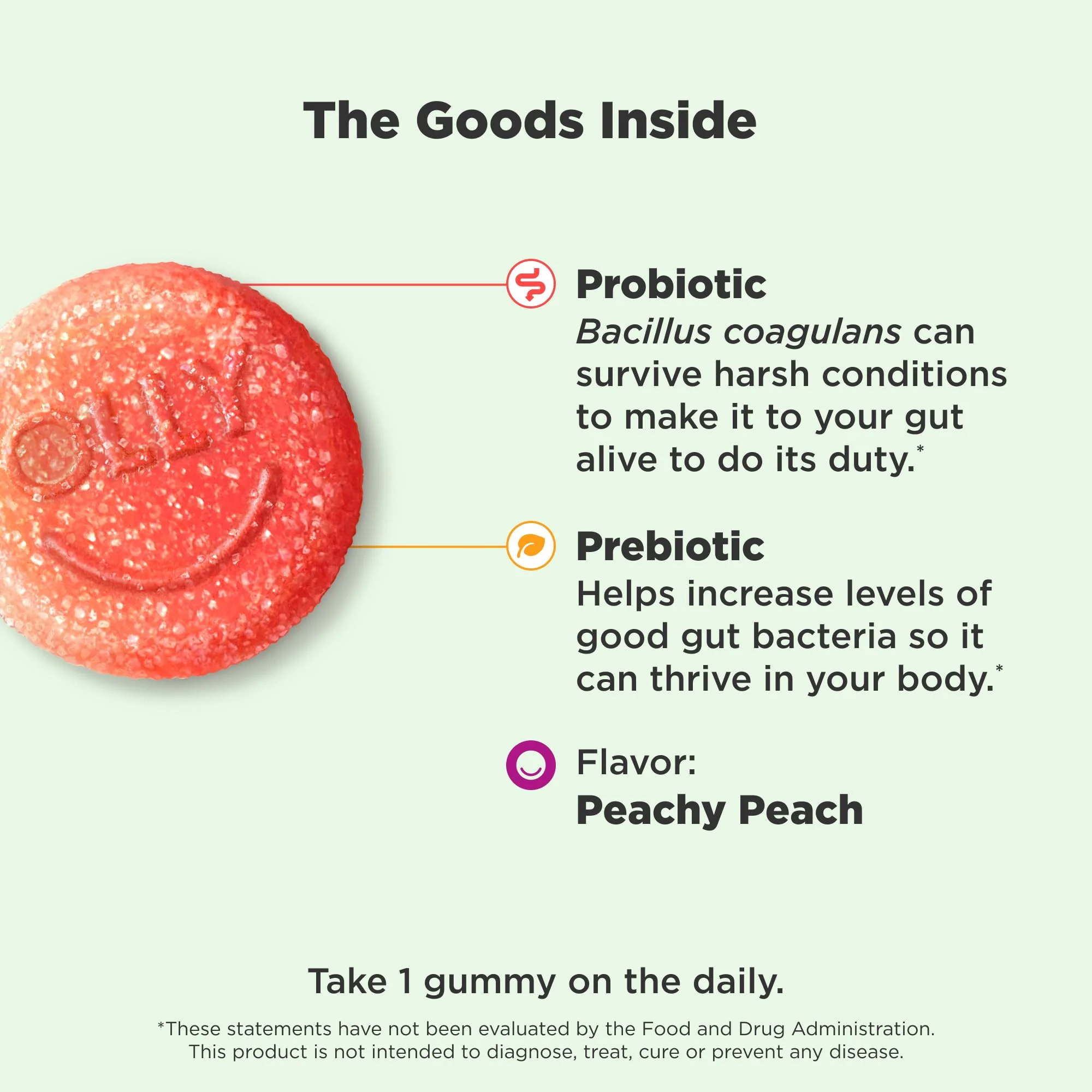 OLLY Probiotic + Prebiotic Gummy, Digestive Support and Gut Health, 500 Million CFUs, Fiber, Adult Chewable Supplement for Men and Women, Peach, 30 Day Supply - 30 Count (Pack of 12) - Image 2