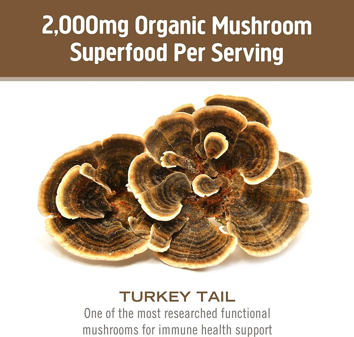 Om Mushroom Superfood Turkey Tail Mushroom Capsules Superfood Supplement, 90 Count, 30 Days, Immune Support, Polysacchrides, Beta-Glucans, Gut Health & Holistic Defense Mushroom Supplement - Image 4