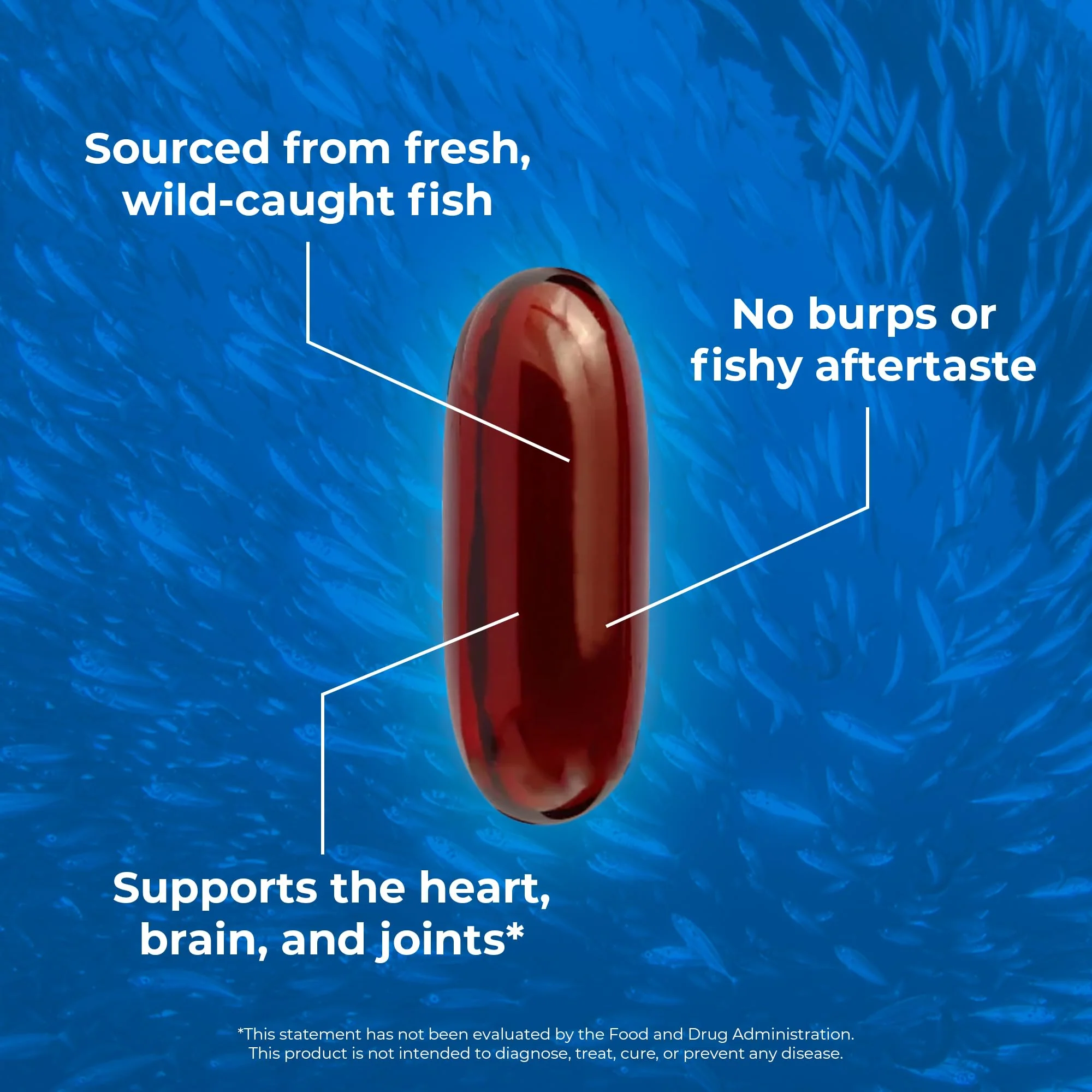 OMAPURE Fish Oil Supplements with Omega 3 Fatty Acids (3 Bottles, 120 Softgels) - High EPA, DHA, & IFOS Fish Oil Pills Support Heart & Joint Health - Burpless Fish Oil Promotes Brain Function - Image 4