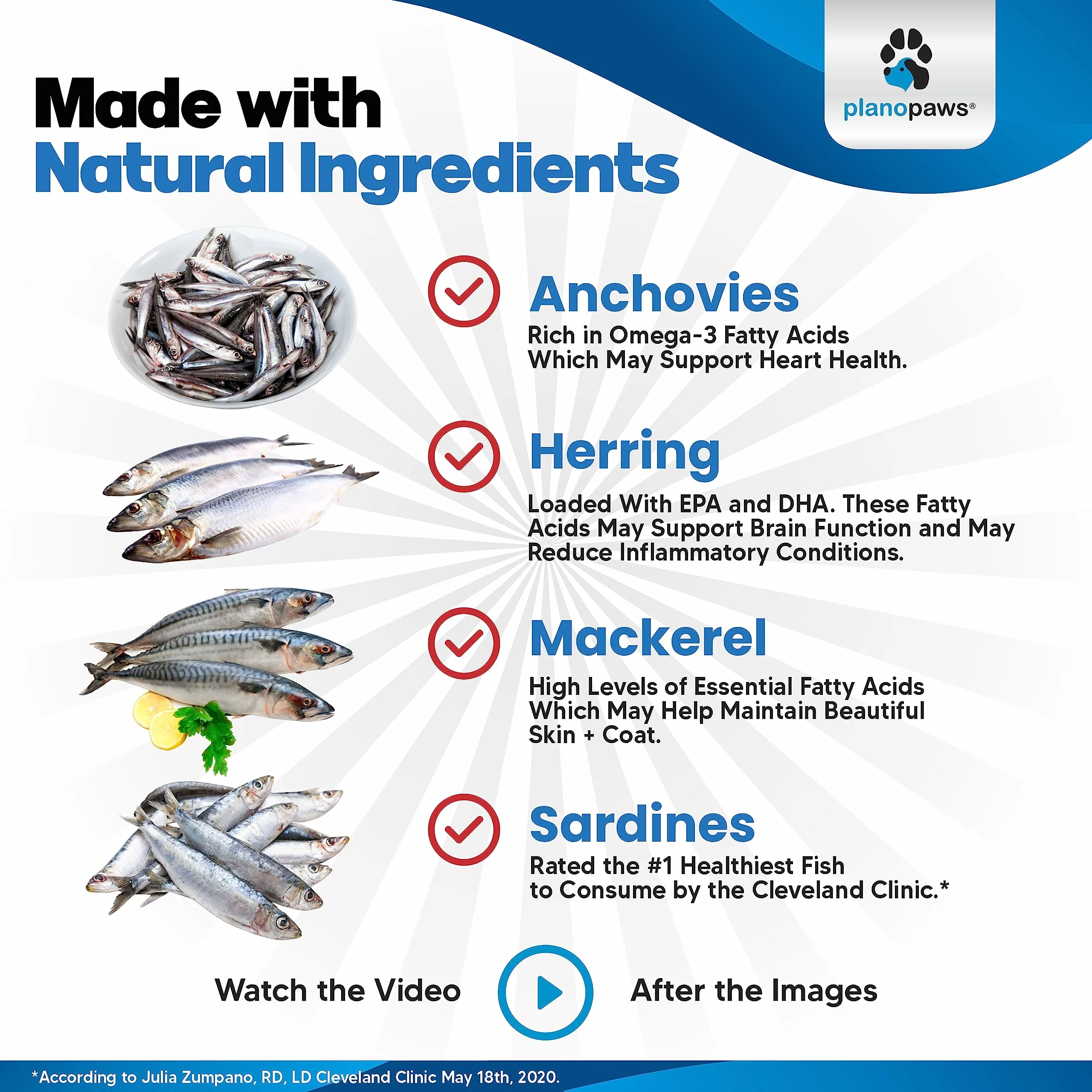 Omega 3 Fish Oil for Dogs - Better Than Salmon Oil - Dog Fish Oil Supplement to Reduce Shedding & Itching - Supports Joints, Brain, and Heart Health - Skin and Coat Supplement - Liquid Fish Oil - Image 4