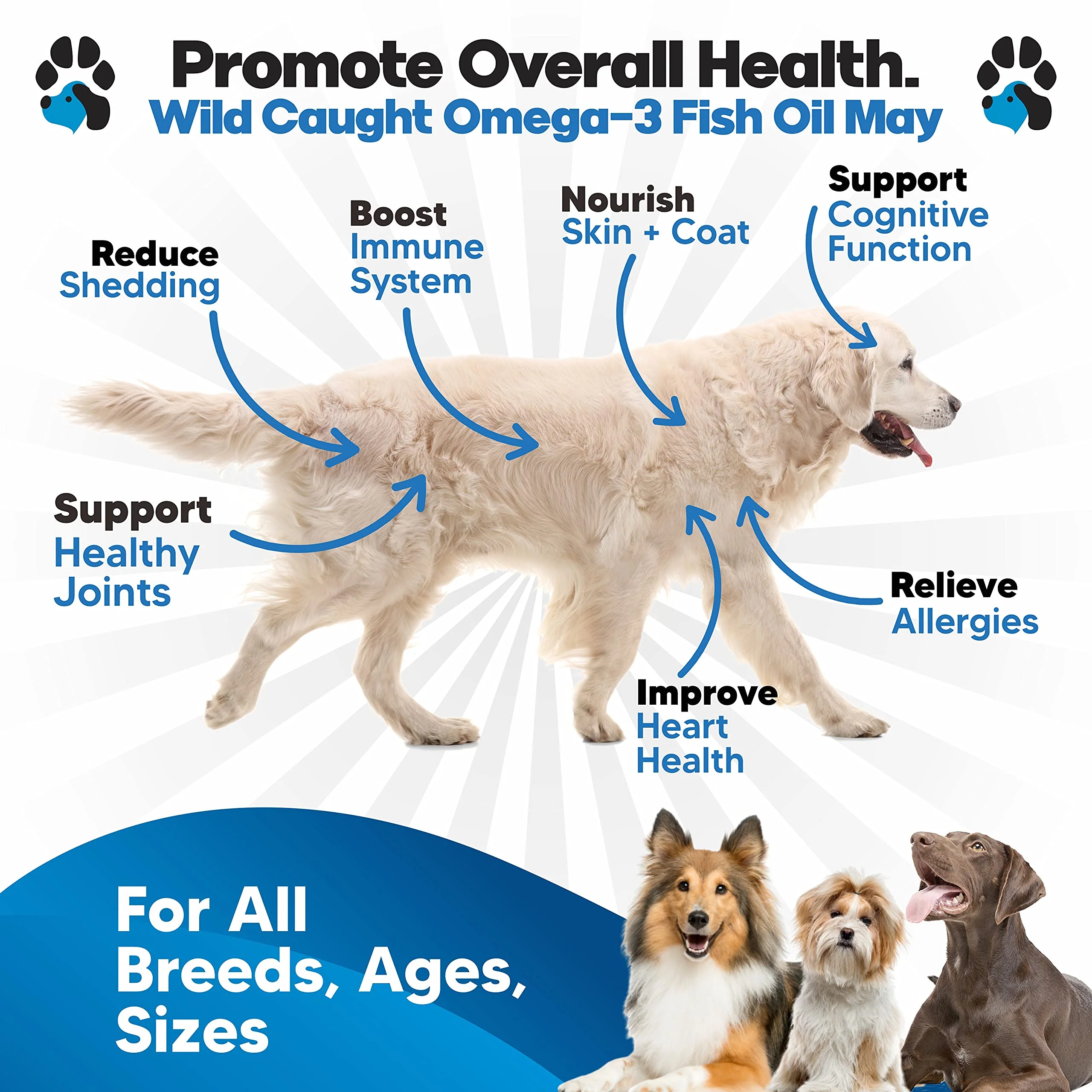 Omega 3 Fish Oil for Dogs - Better Than Salmon Oil - Dog Fish Oil Supplement to Reduce Shedding & Itching - Supports Joints, Brain, and Heart Health - Skin and Coat Supplement - Liquid Fish Oil - Image 8