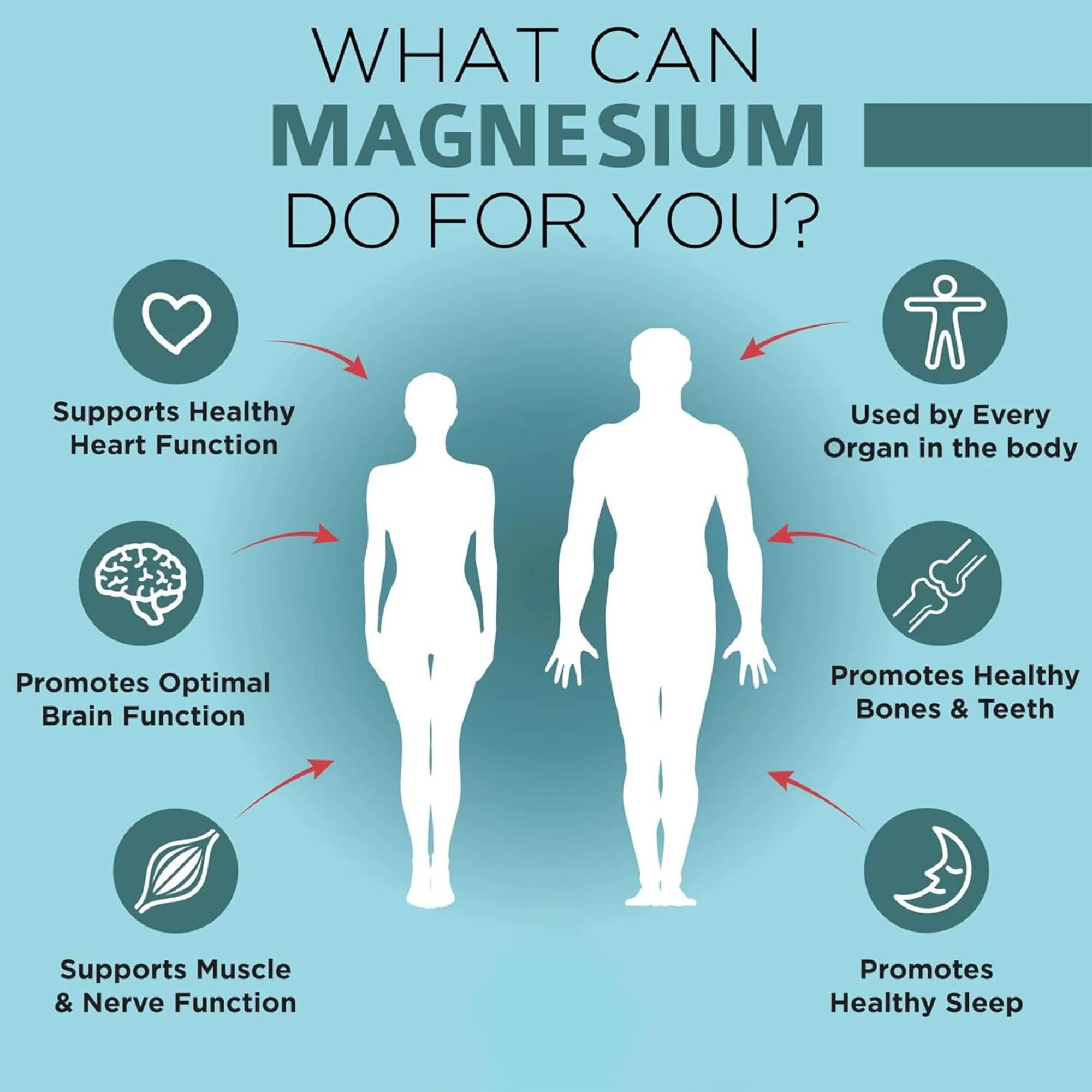 OmniBiotics Magnesium Glycinate Supplement – with 100% Pure Albion TRAACS Bisglycinate Chelate for Sleep, Muscle, Nerve & Heart Health – 120 Vegan Capsules - Image 7