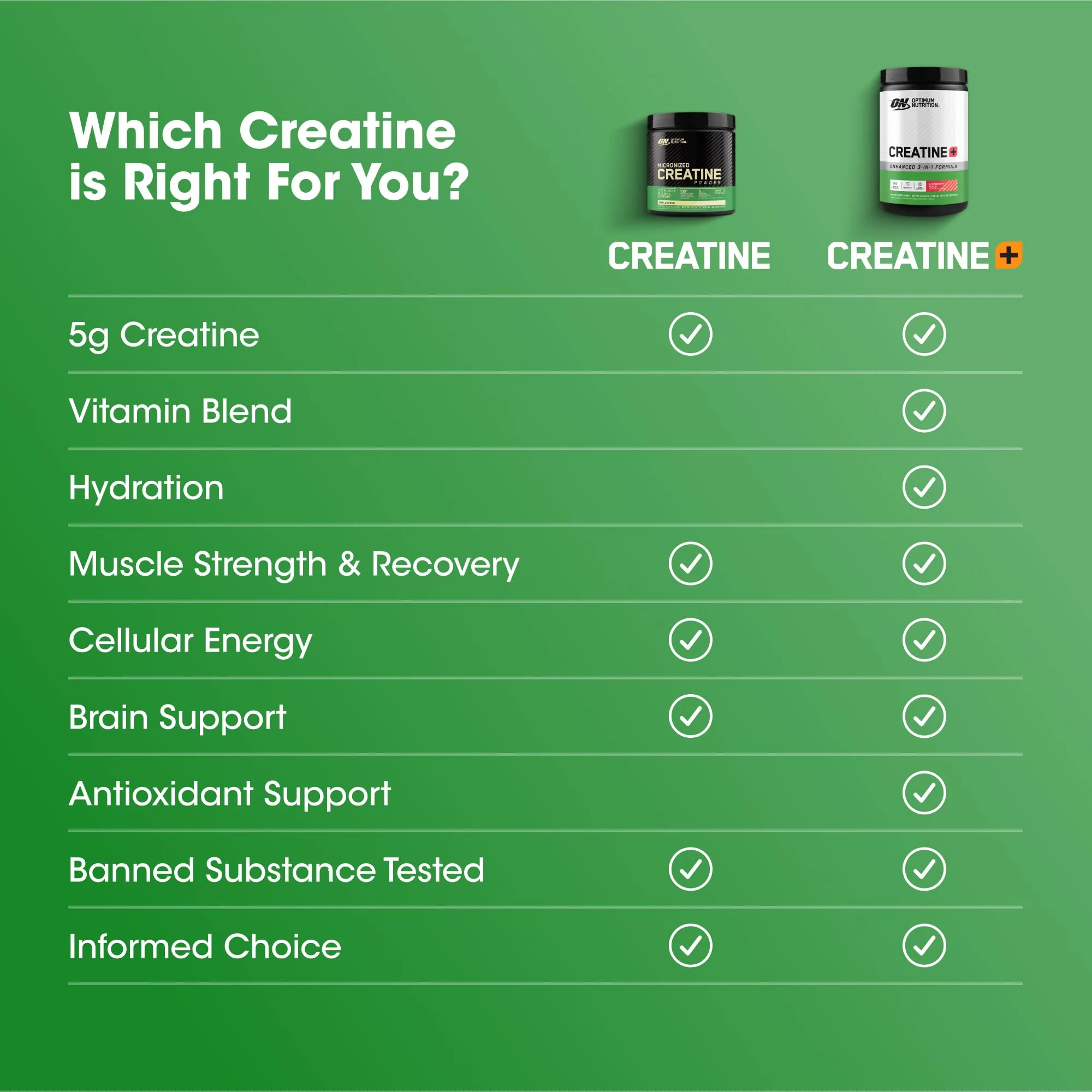 Optimum Nutrition Creatine Monohydrate Plus Powder, Strawberry Peach Flavored Creatine Performance Blend, with Electrolytes for Hydration, Added Vitamins, 80 Servings, 720 Grams (Packaging May Vary) - Image 7