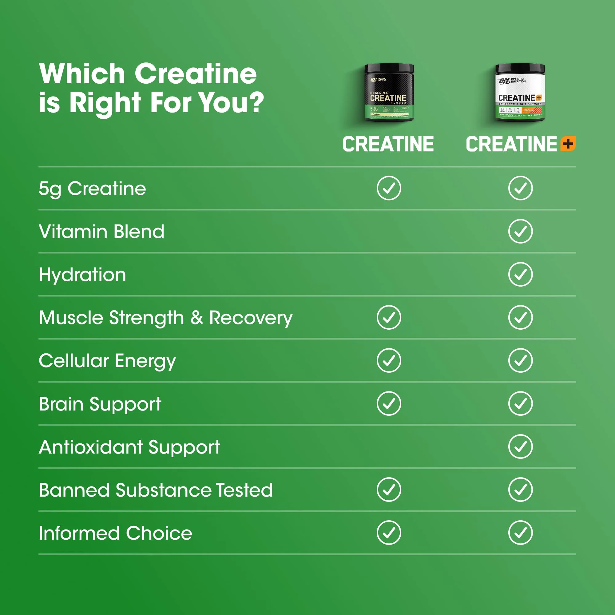 Optimum Nutrition Micronized Creatine Monohydrate Capsules, Keto Friendly, 2500mg, 300 Capsules (Packaging May Vary) - Image 9