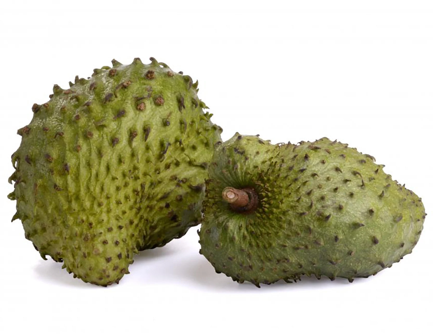 Organic Graviola Liquid Soursop Extract 4 oz Wildcrafted Tincture (Annona Muricata) : Immune System Booster (4oz) - Image 3
