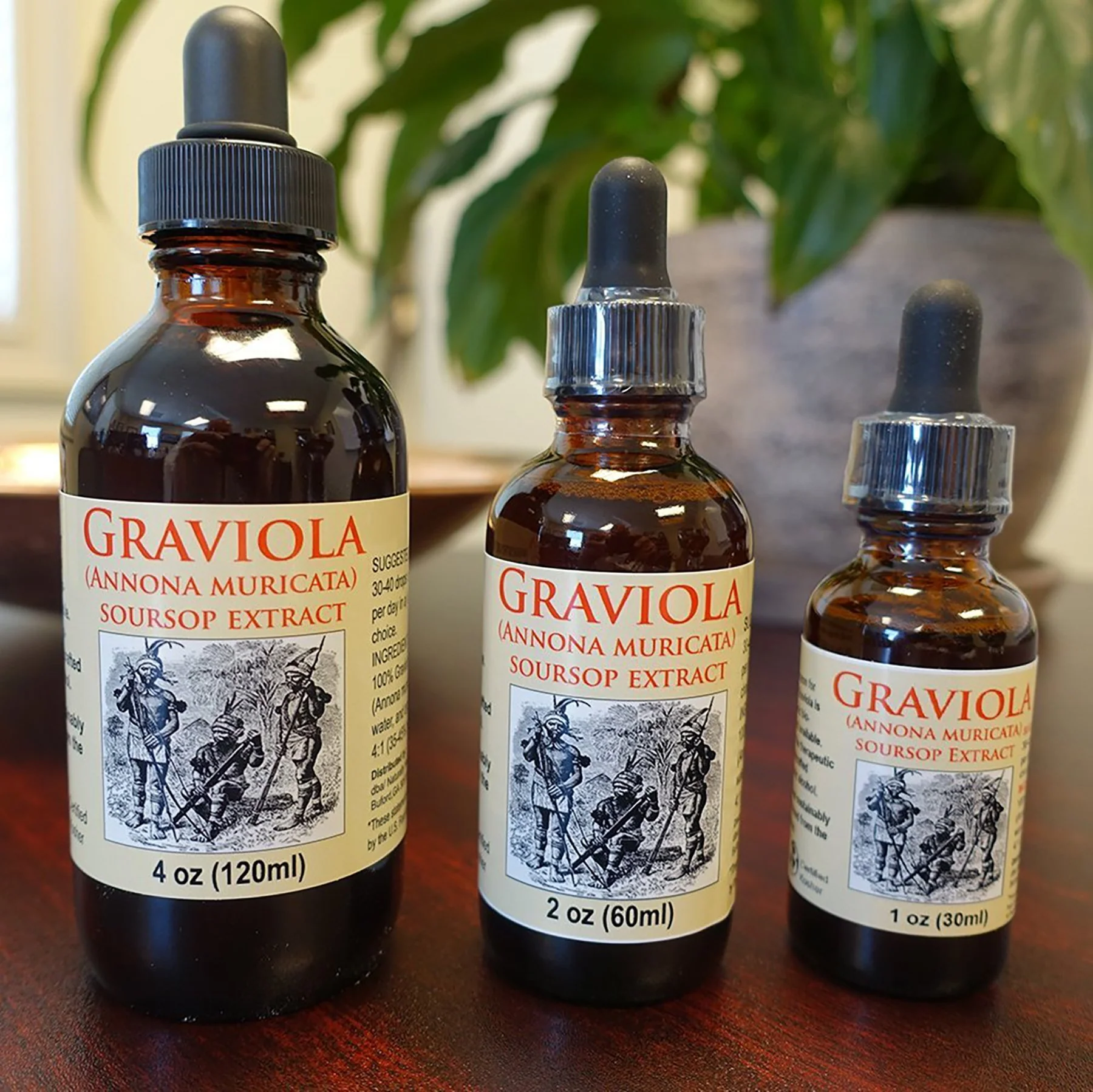 Organic Graviola Liquid Soursop Extract 4 oz Wildcrafted Tincture (Annona Muricata) : Immune System Booster (4oz) - Image 4