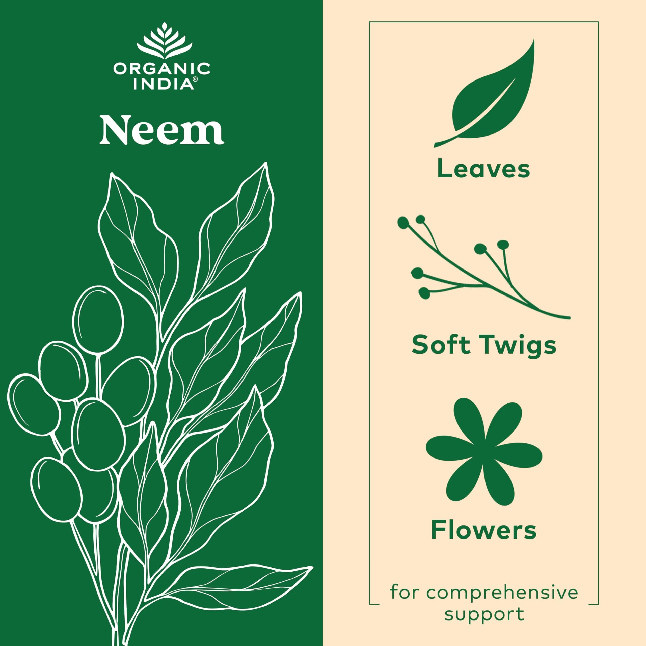 ORGANIC INDIA Neem Leaf Capsules - Herbal Supplement, Supports Skin & Immune Health, Vegan, Gluten Free, USDA Certified Organic - 90 Count - Image 6