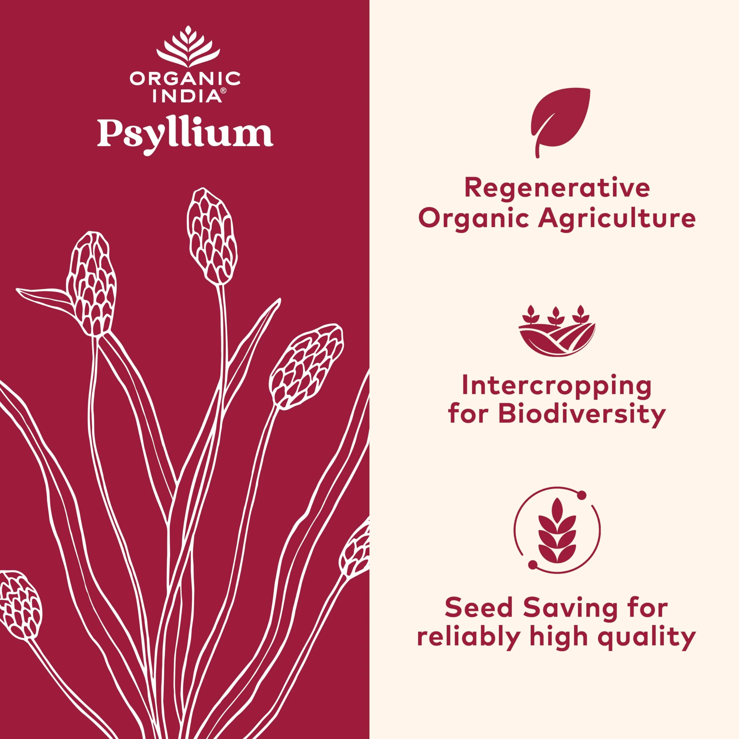 ORGANIC INDIA Whole Psyllium Husk Powder Organic - Psyllium Husk Fiber Supplement, Digestion Support, Vegan, Gluten-Free, Non-GMO, Soluble & Insoluble Fiber Source - 12 oz (Pack of 2) - Image 3