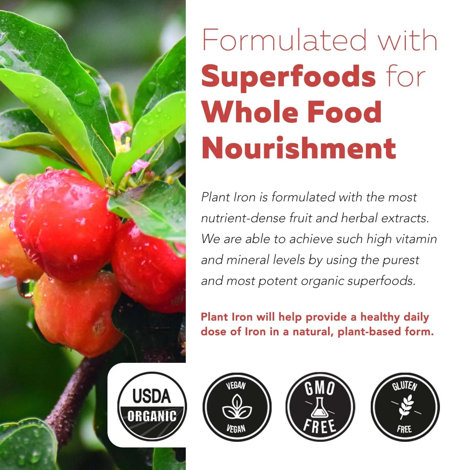 Organic Iron Supplement | Whole Food Mineral & Cofactors, 25 mg Elemental | Enhanced Absorption Plus Blood Health Vitamins – Gentle Form – Supports Healthy Levels & Blood Health – 90 Capsules - Image 2
