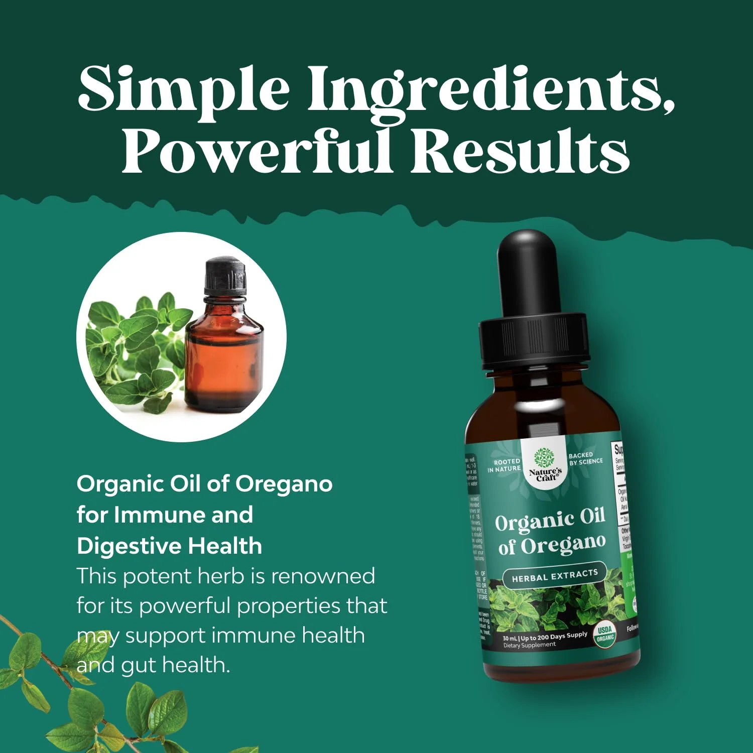 Organic Oregano Oil Drops - Concentrated Liquid Oregano with Carvacrol 60% for Digestion & Immune Support - Liquid Herbal Extract Tincture for Immune Strength & Healthy Intestines - 1 Fl Oz (2 pack) - Image 5