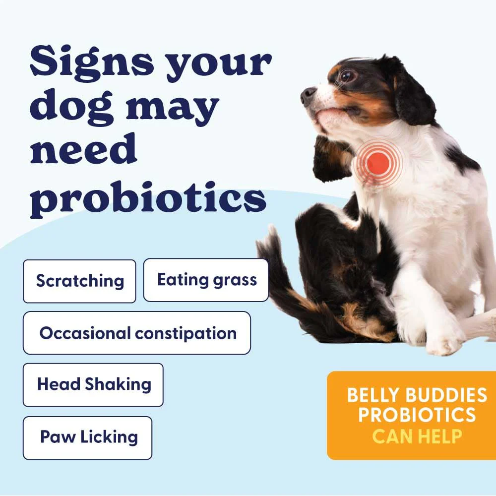 Origin Labs Belly Buddies - Probiotics for Dogs - Prebiotics & Probiotics - Supports Gut, Skin, and Immune Health - 5 Billion CFUs 7 Strain Probiotic Blend - Natural Bacon Flavor, 90 Soft Chews - Image 4