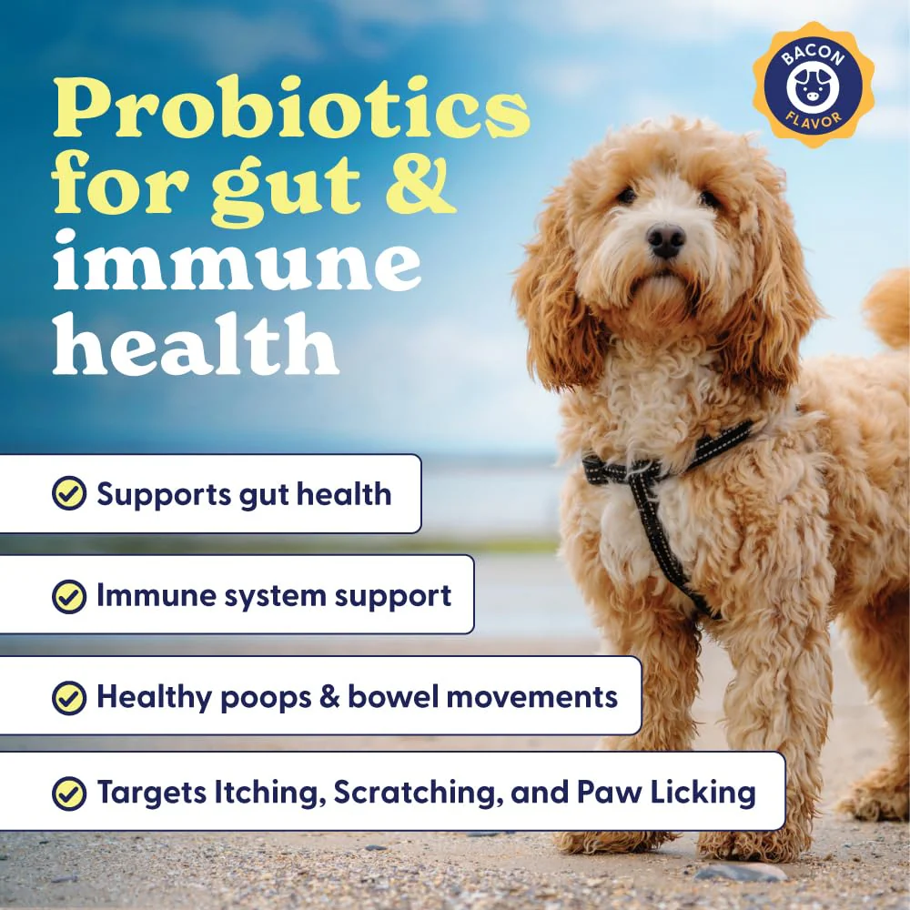 Origin Labs Belly Buddies - Probiotics for Dogs - Prebiotics & Probiotics - Supports Gut, Skin, and Immune Health - 5 Billion CFUs 7 Strain Probiotic Blend - Natural Bacon Flavor, 90 Soft Chews - Image 7