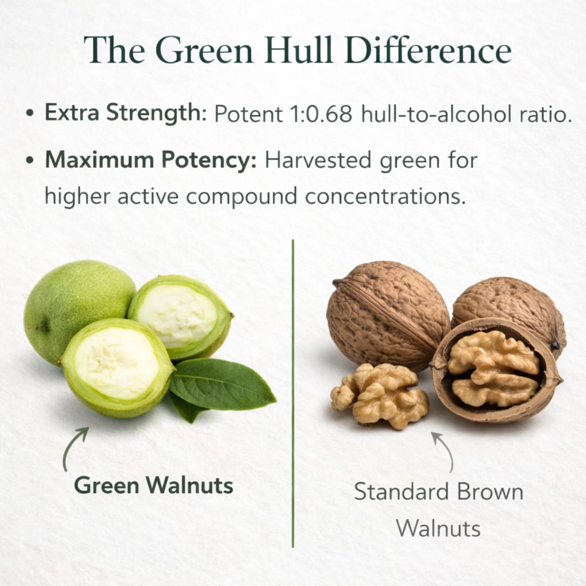 Original Green Black Walnut Hull Tincture (Extra Strength) by Dr. Hulda Clark, 4 oz - Image 4