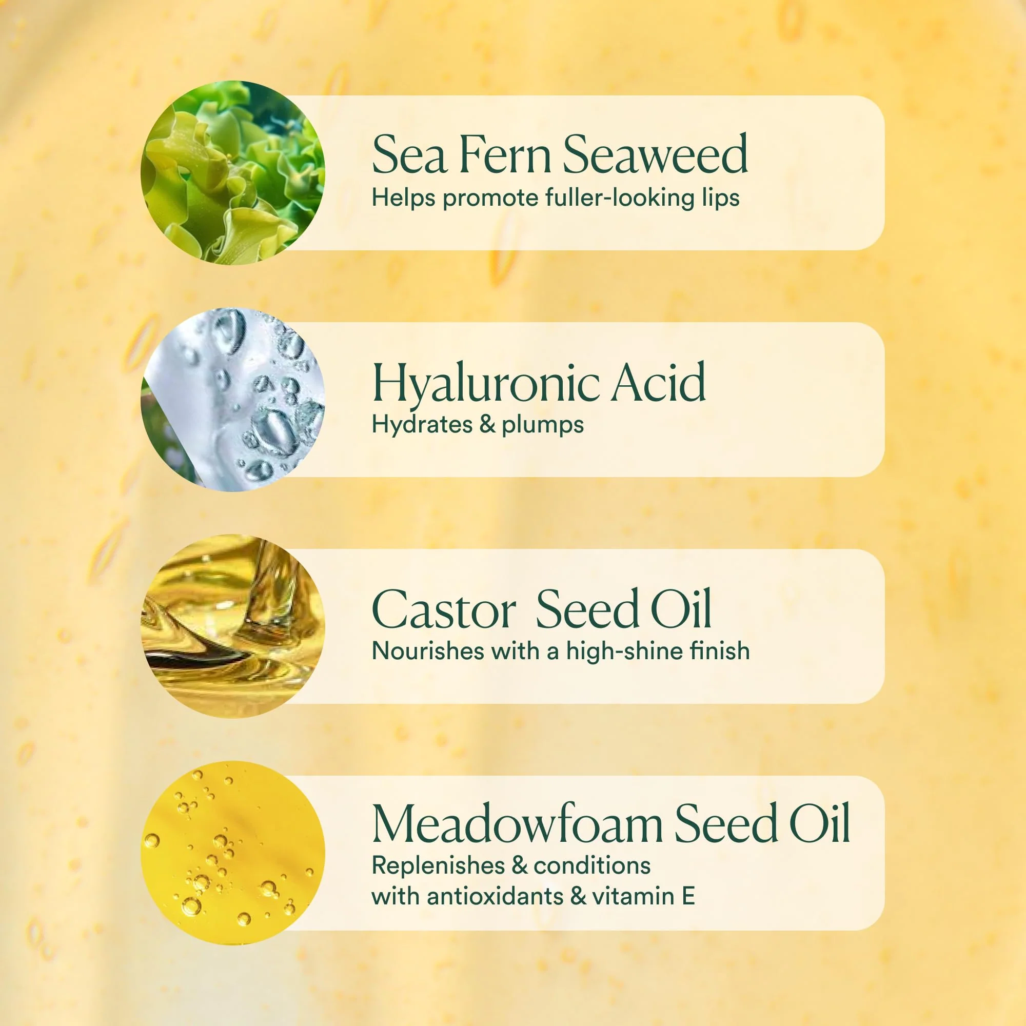 OSEA Hyaluronic Lip Oil Booster – Clean Beauty Lip Oil for Plump, Glossy, Hydrated Lips – Nourishing Seaweed & Meadowfoam Oil – Vegan, Non-Sticky, High-Shine Finish - Image 2