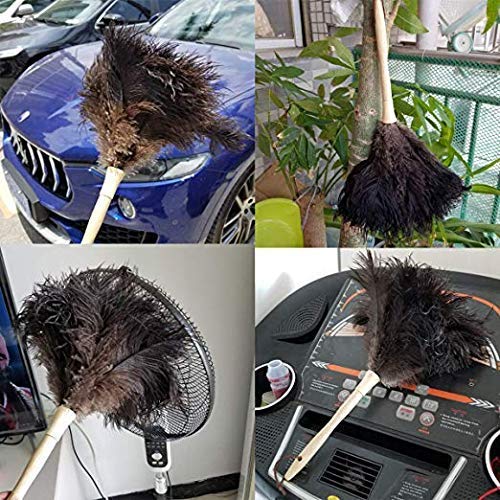 Ostrich Feather Duster for Cleaning-Furniture Dusters with Handle Ddzmz Hand Duster with Fluffy Natural Genuine Feather Reusable Household Duster, Gray and Brown(Length 16") - Image 2