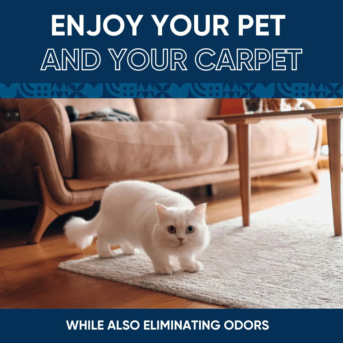 Oxy Pet Carpet Cleaner Spray | Pet Stain Remover for Pet Urine, Cat Pee, Dog Poop | Deep Spot Treating Action on Carpeting, Upholstery, Laundry, Pet Beds & More (128 Fl Oz) - Image 4