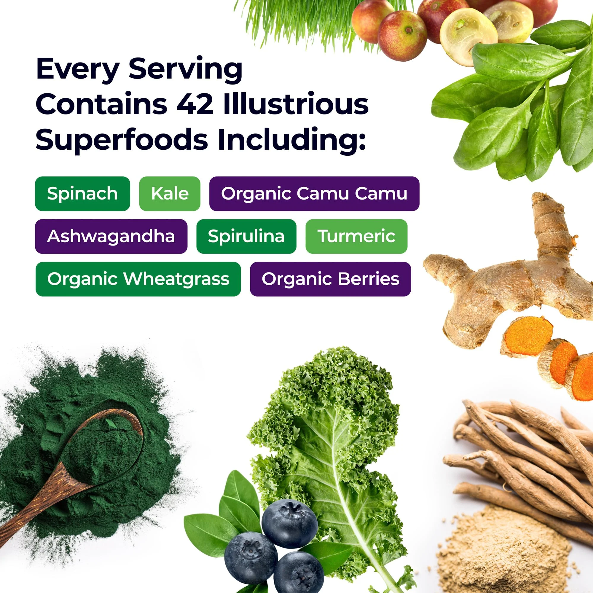 Paradise Herbs, ORAC Energy Greens Powder, Antioxidant Power of 24 Servings of Fruits & Vegetables in 1 Scoop, 120 Servings - Image 9