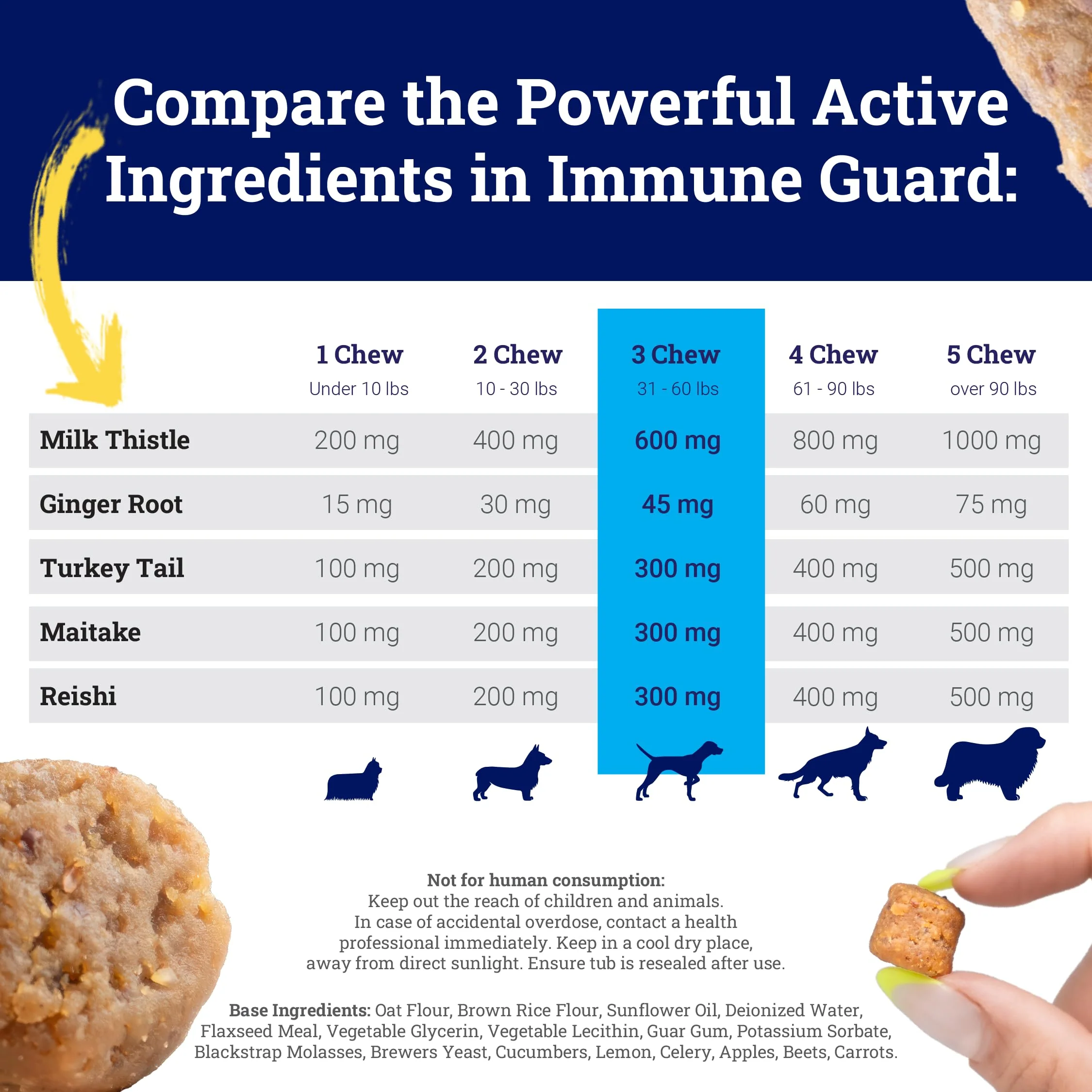 PetHeal Immune Guard - Advanced Support for Dogs with Cancer- Natural Ingredients - Peanut Butter Flavor - APRX. 55 Soft Chews - Image 2