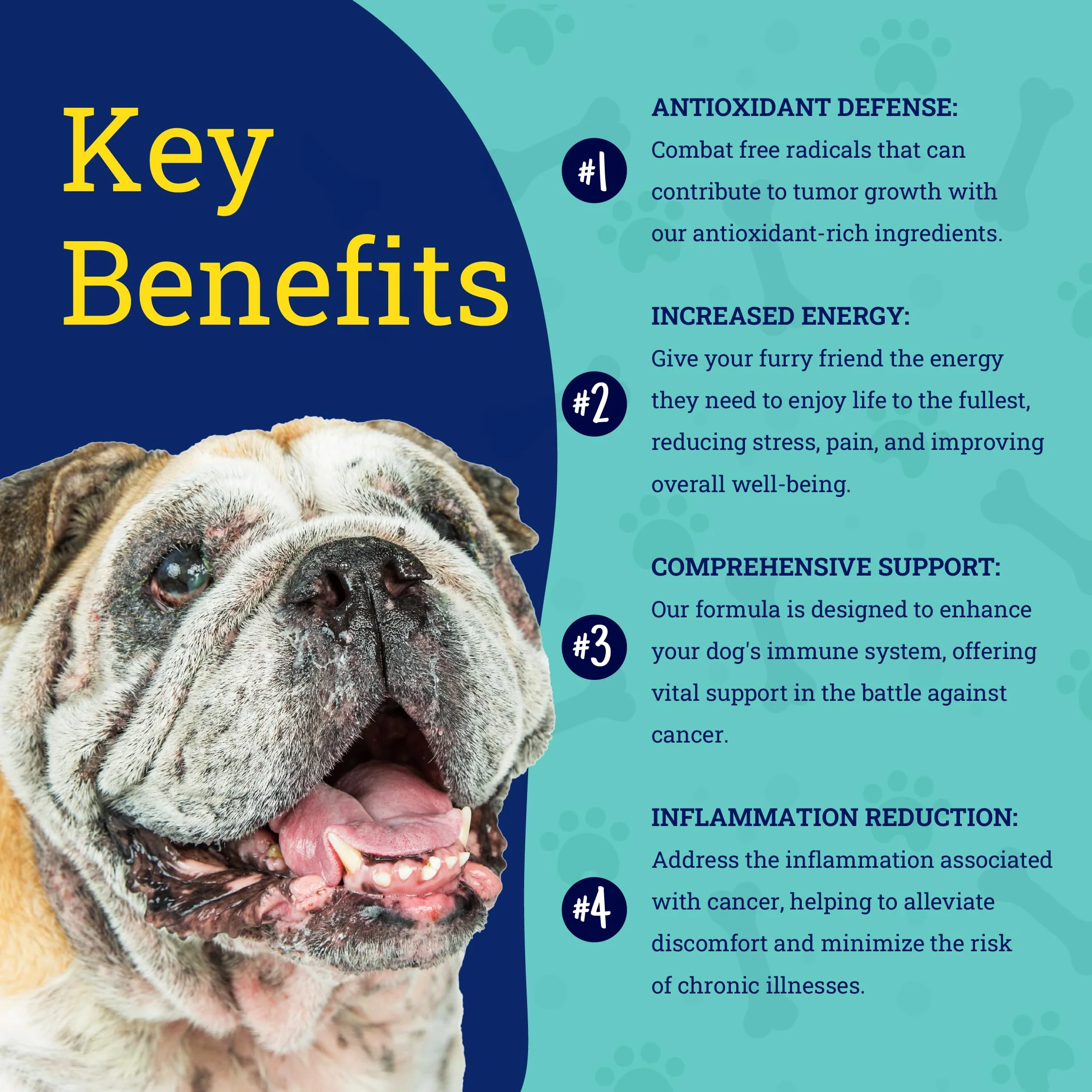PetHeal Immune Guard - Advanced Support for Dogs with Cancer- Natural Ingredients - Peanut Butter Flavor - APRX. 55 Soft Chews - Image 4