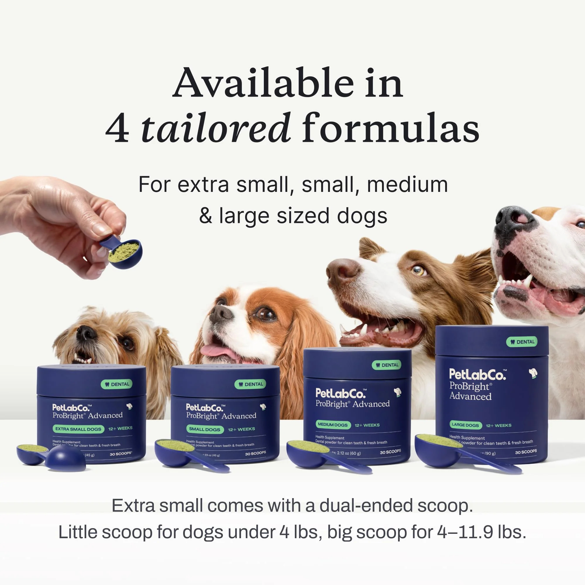 PetLab Co. ProBright Advanced Dental Powder - Dog Breath Freshener - Teeth Cleaning Made Easy – Targets Tartar & Bad Breath - Packaging May Vary - Formulated for Large Dogs - Image 8