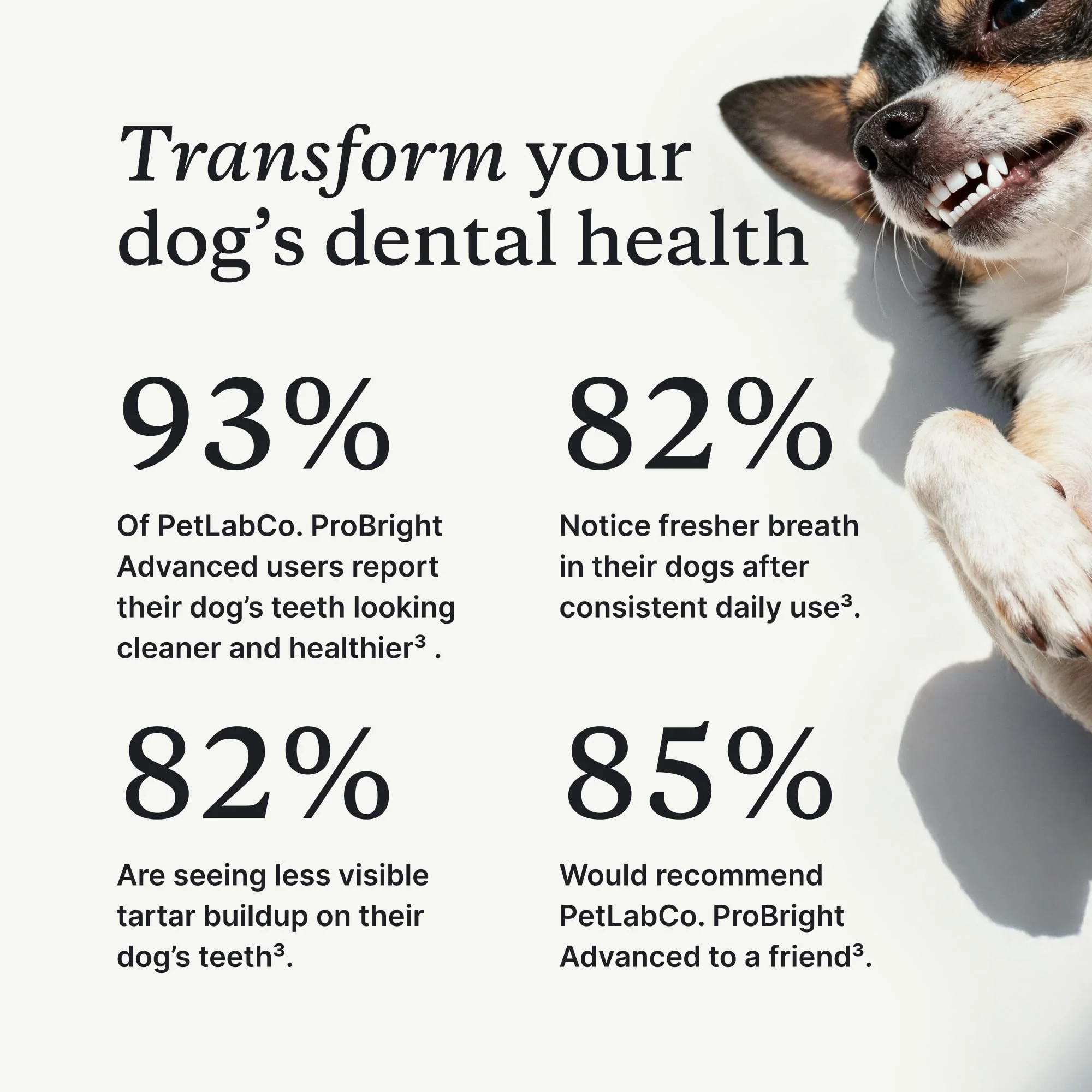 PetLab Co. ProBright Advanced Dental Powder - Dog Breath Freshener - Teeth Cleaning Made Easy – Targets Tartar & Bad Breath - Packaging May Vary - Formulated for Large Dogs - Image 9