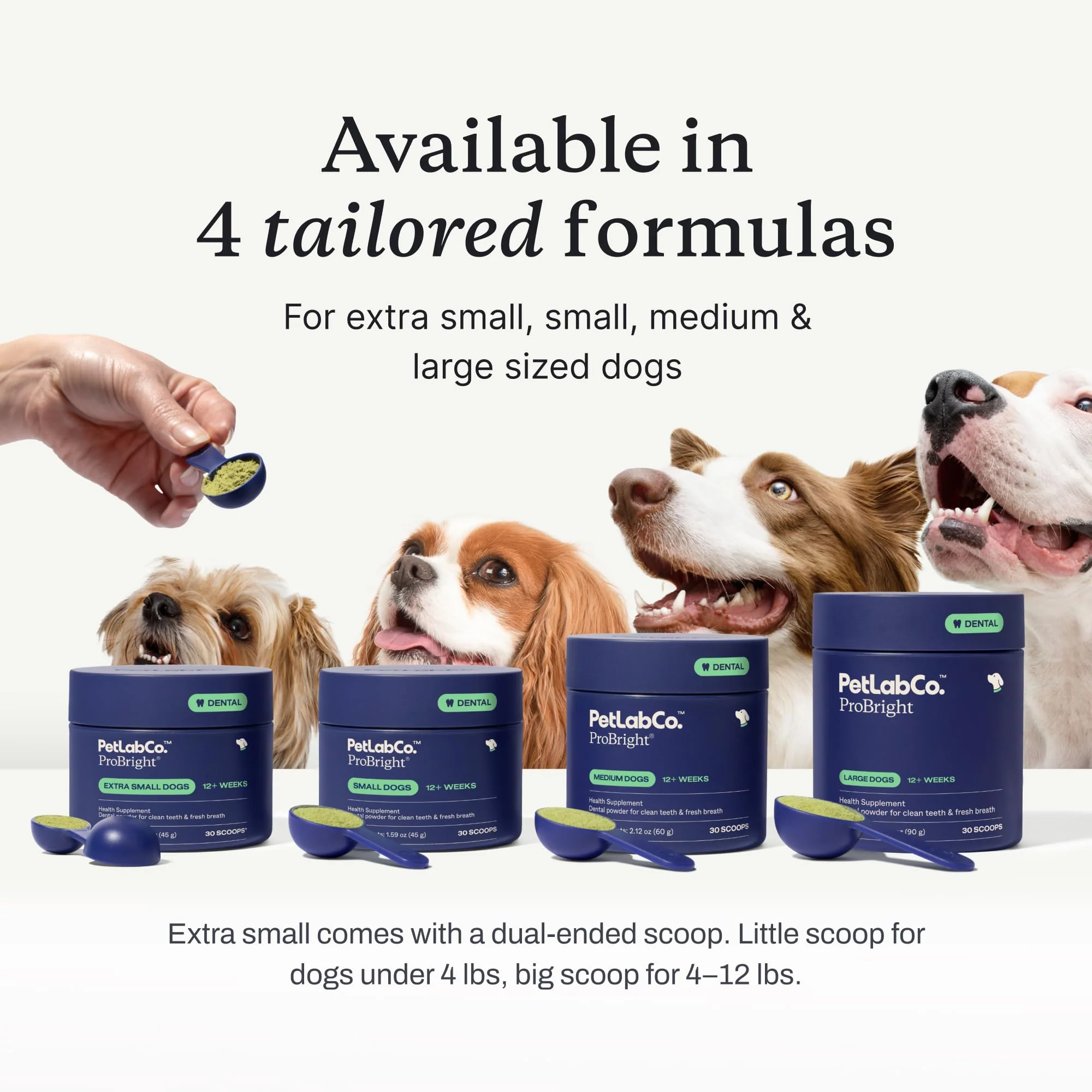 PetLab Co. ProBright Dental Powder - Dog Breath Freshener - Teeth Cleaning Made Easy – Targets Tartar & Bad Breath - Formulated for Small Dogs - Packaging May Vary - Image 7