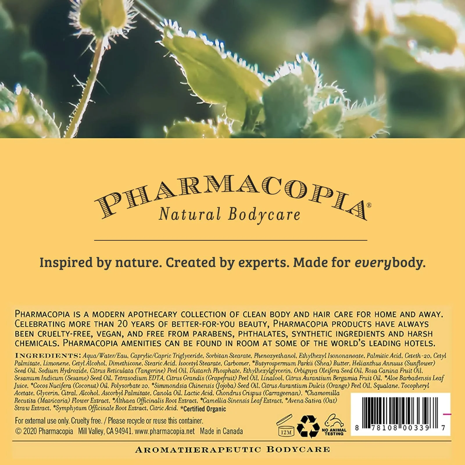 Pharmacopia Citrus Body Lotion - Hydrating Natural Moisturizer with Aromatherapy Benefits - Cruelty-Free Vegan Skin Care - Shea Butter, Aloe Vera, and Jojoba Oil - Lotion for Dry Skin, 16 oz - Image 2
