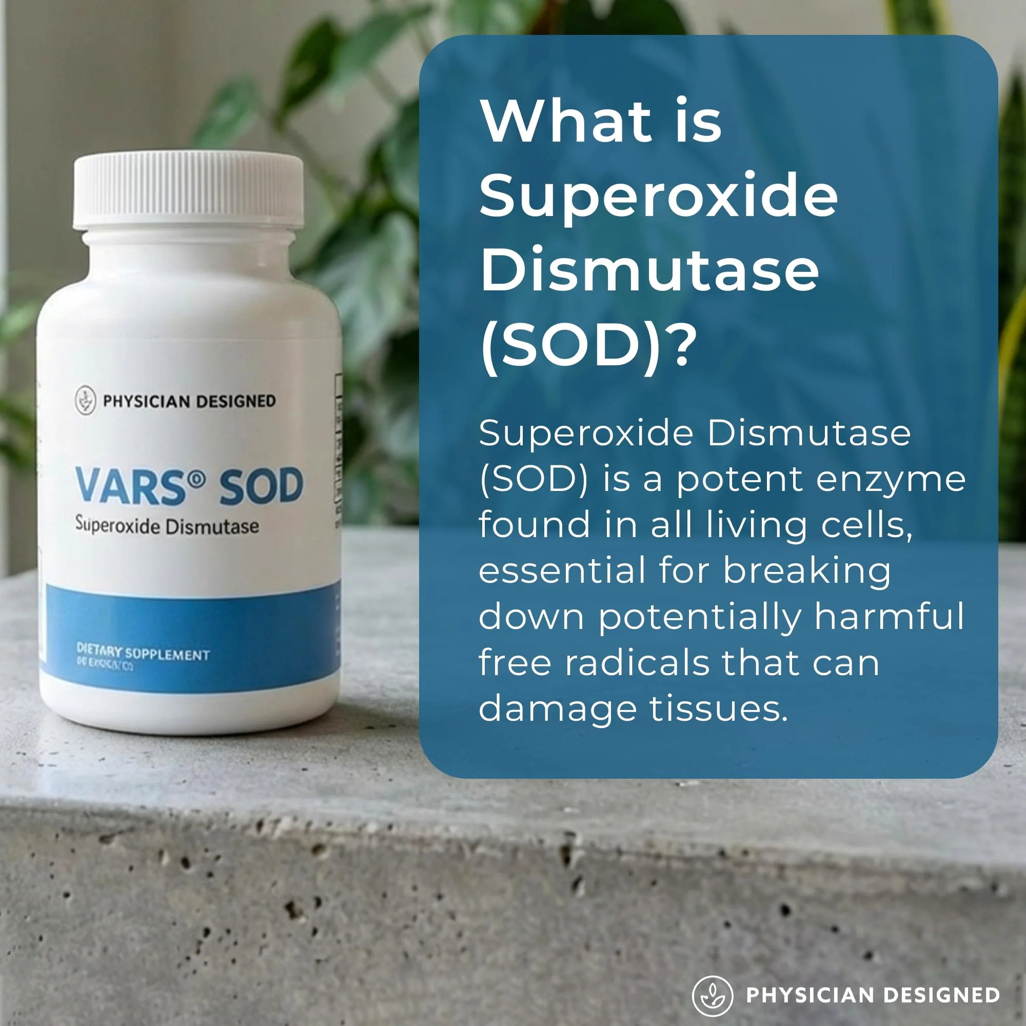 Physician Designed VARS SOD Booster - Superoxide Dismutase Supplement | SOD Supplement | 60 Capsules | Best Antioxidant Supplements - Image 5
